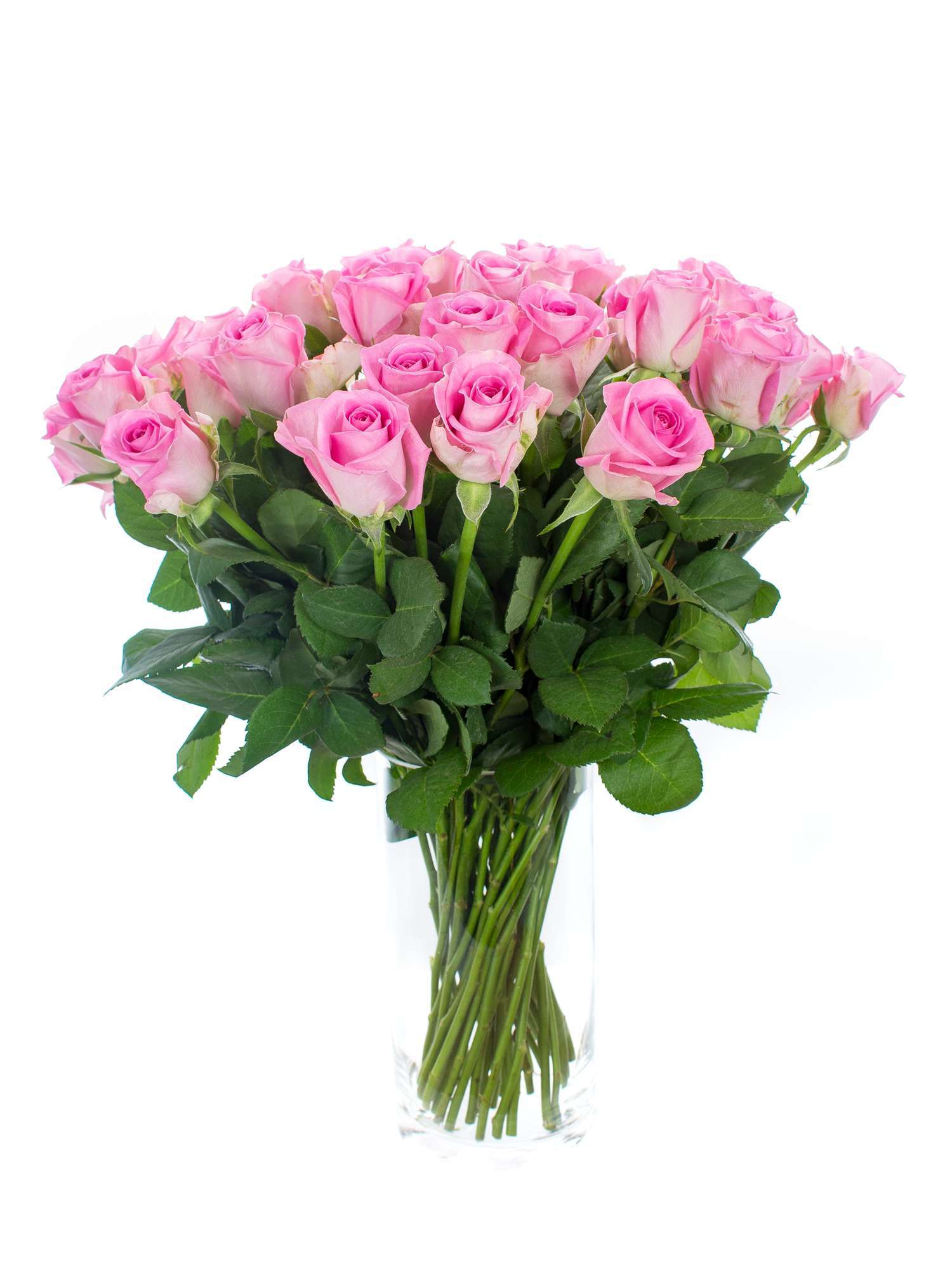 blumigo-rosen-aqua-rosa-frische-schnittblumen image 2