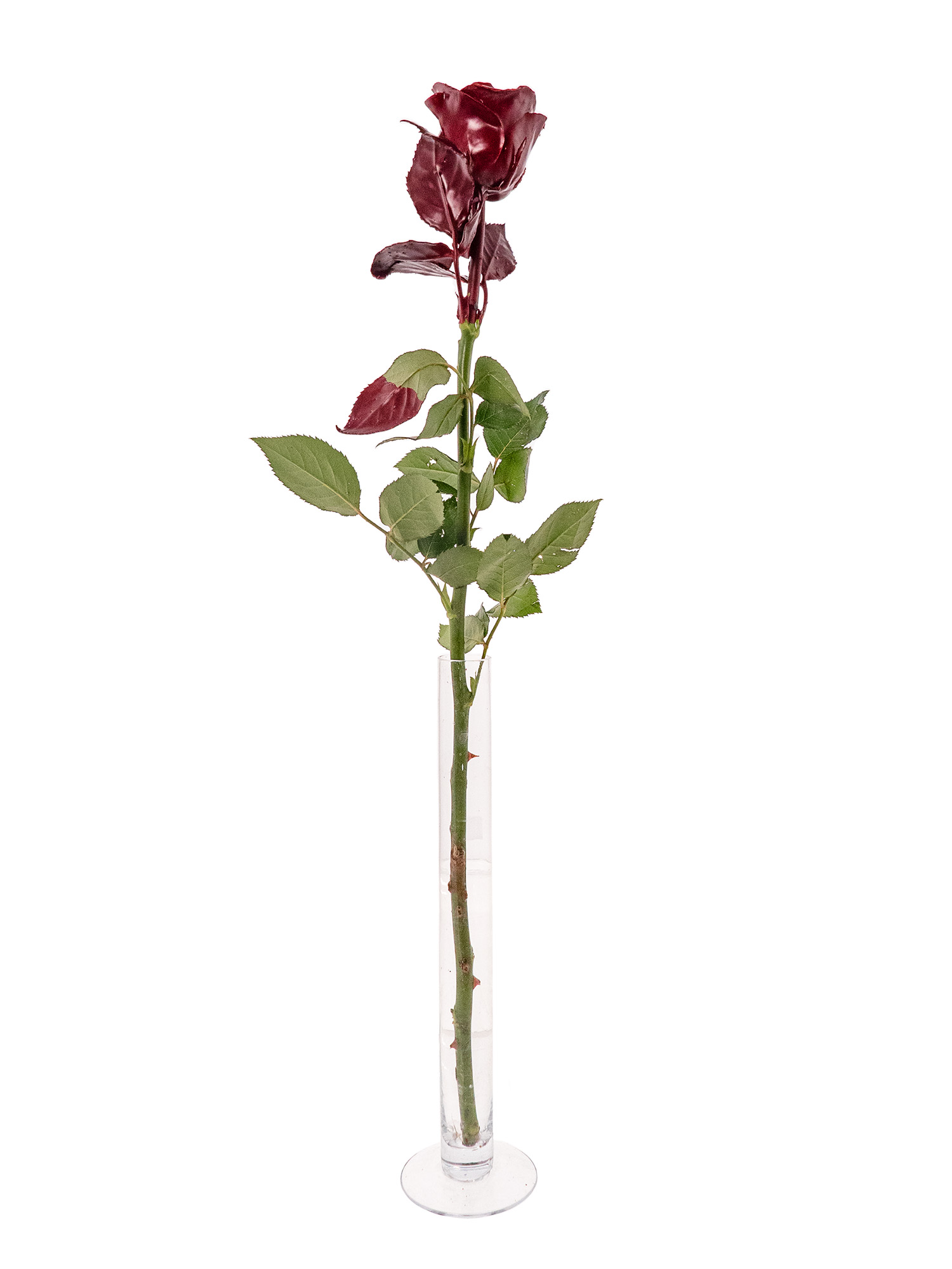 blumigo-rosen-gewachst-blume-bordeaux-einzeln image 3