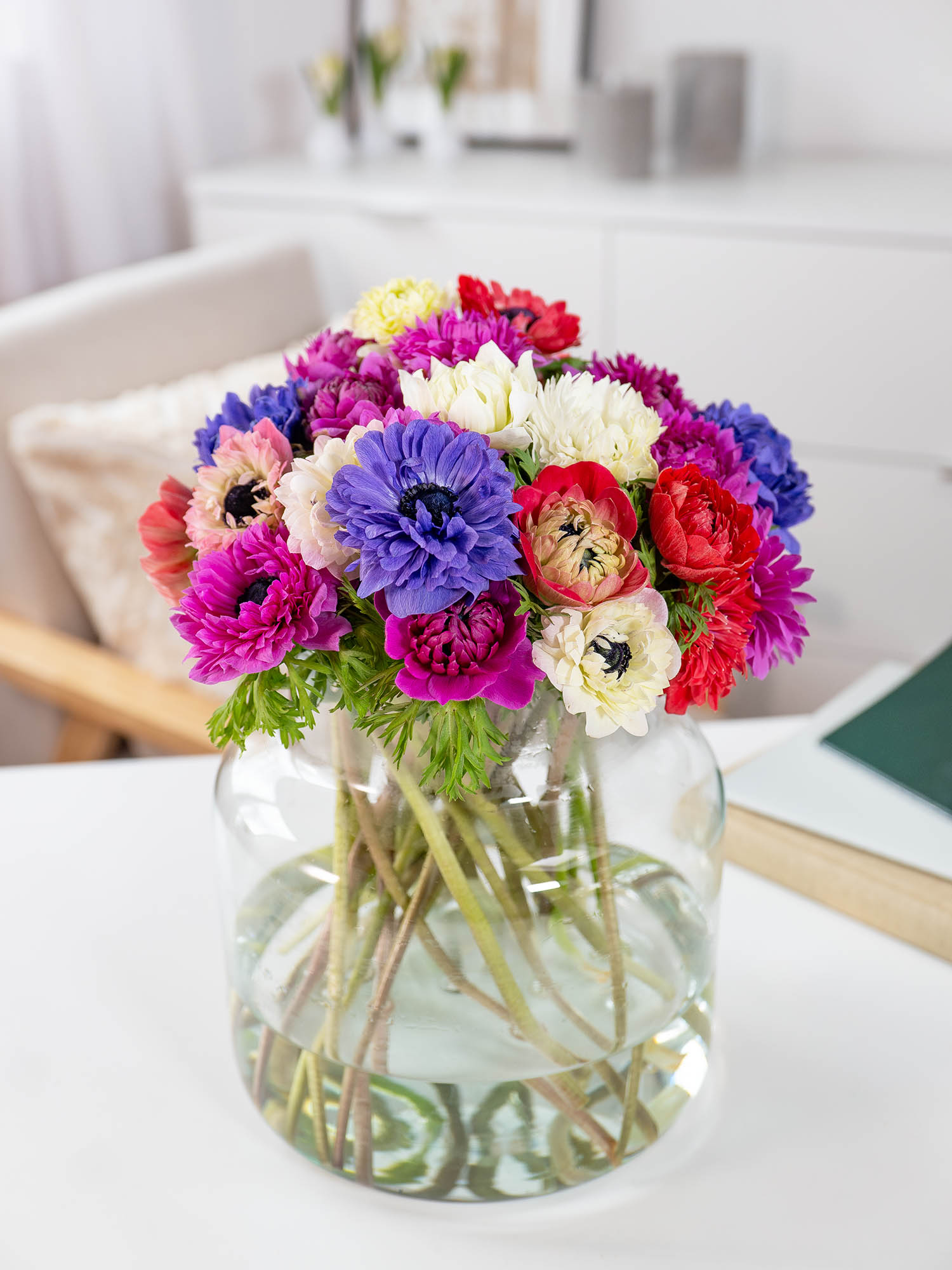 blumigo-anemonen-fullstar-mix-gemischt-schnittblumen-frisch image 1