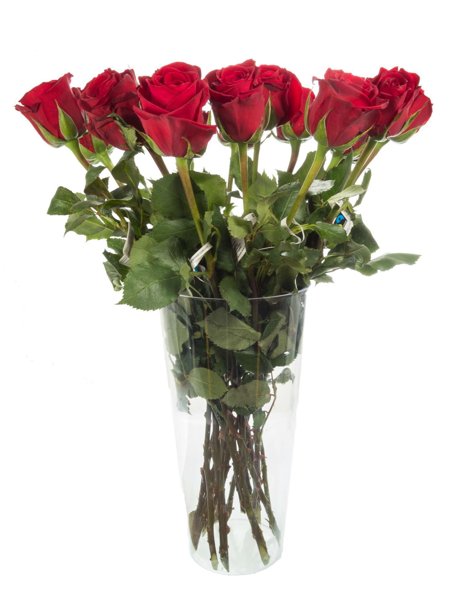 blumigo-rosen-red-paris-rosen-rot-fairtrade image 2