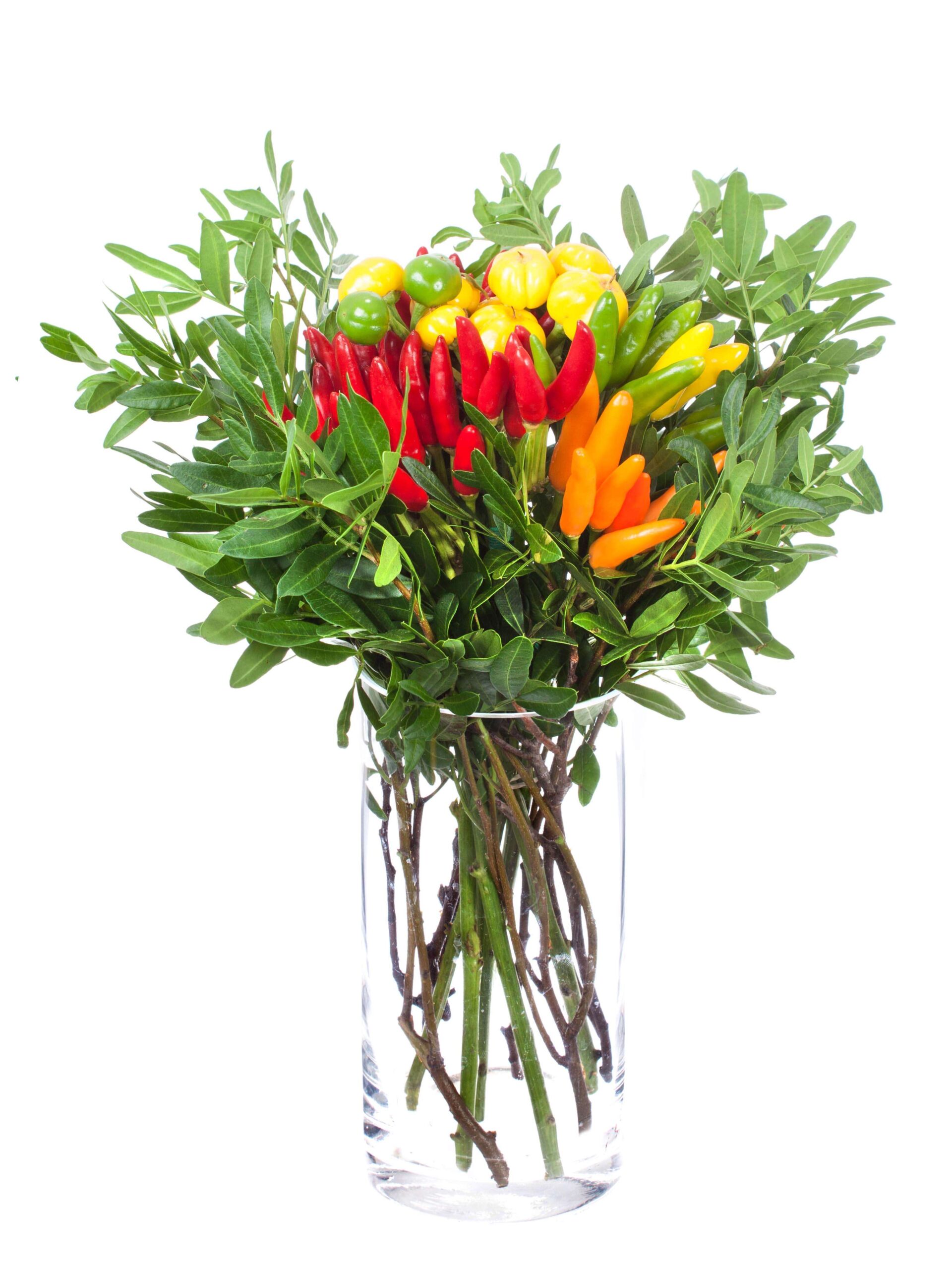 blumigo-herbstdeko-zierpaprika-bouquet-strau-verschiedene-farben image 2