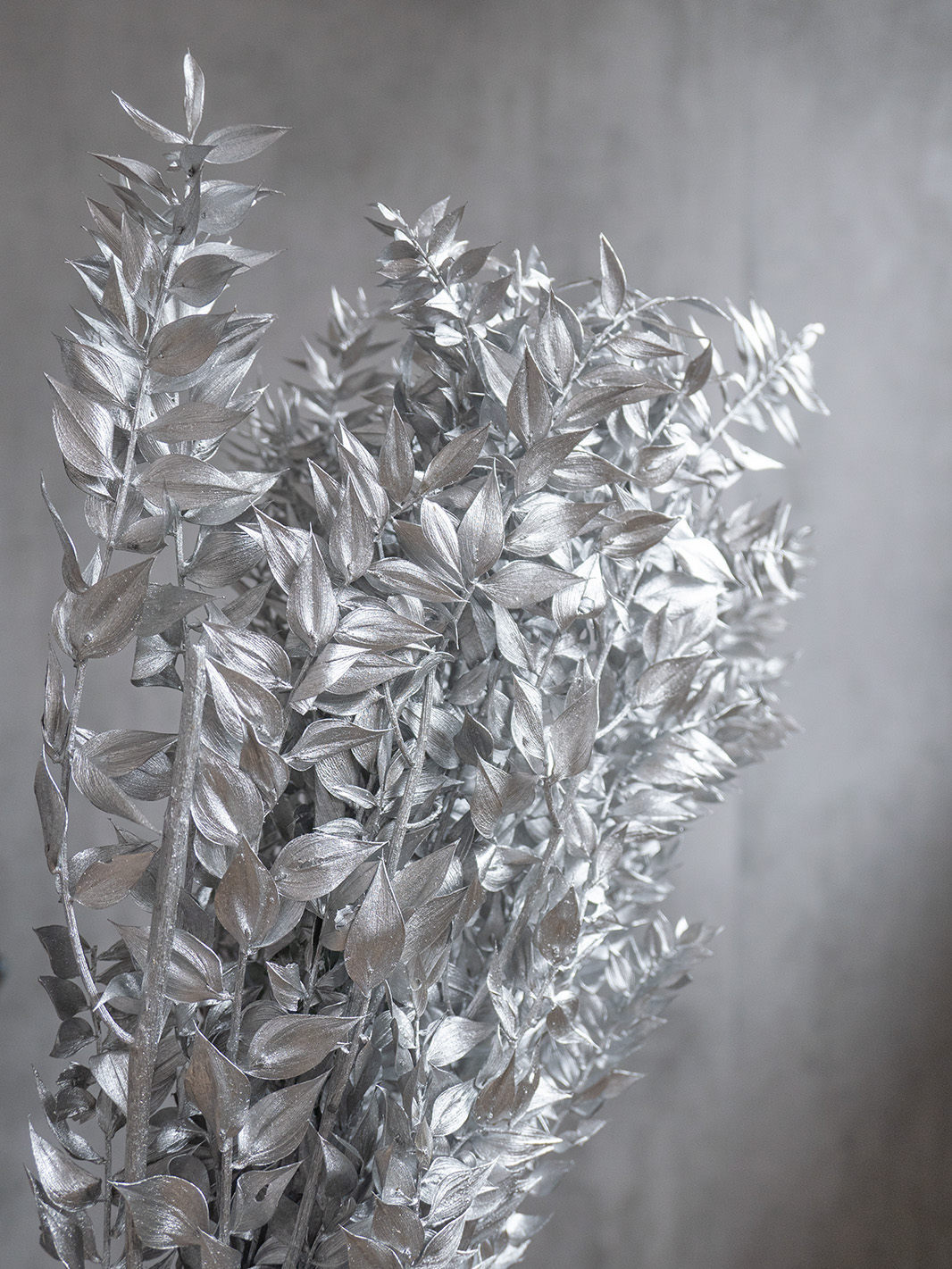 blumigo-ruscus-m-usedorn-trockenblumen-silber-gef-rbt image 4