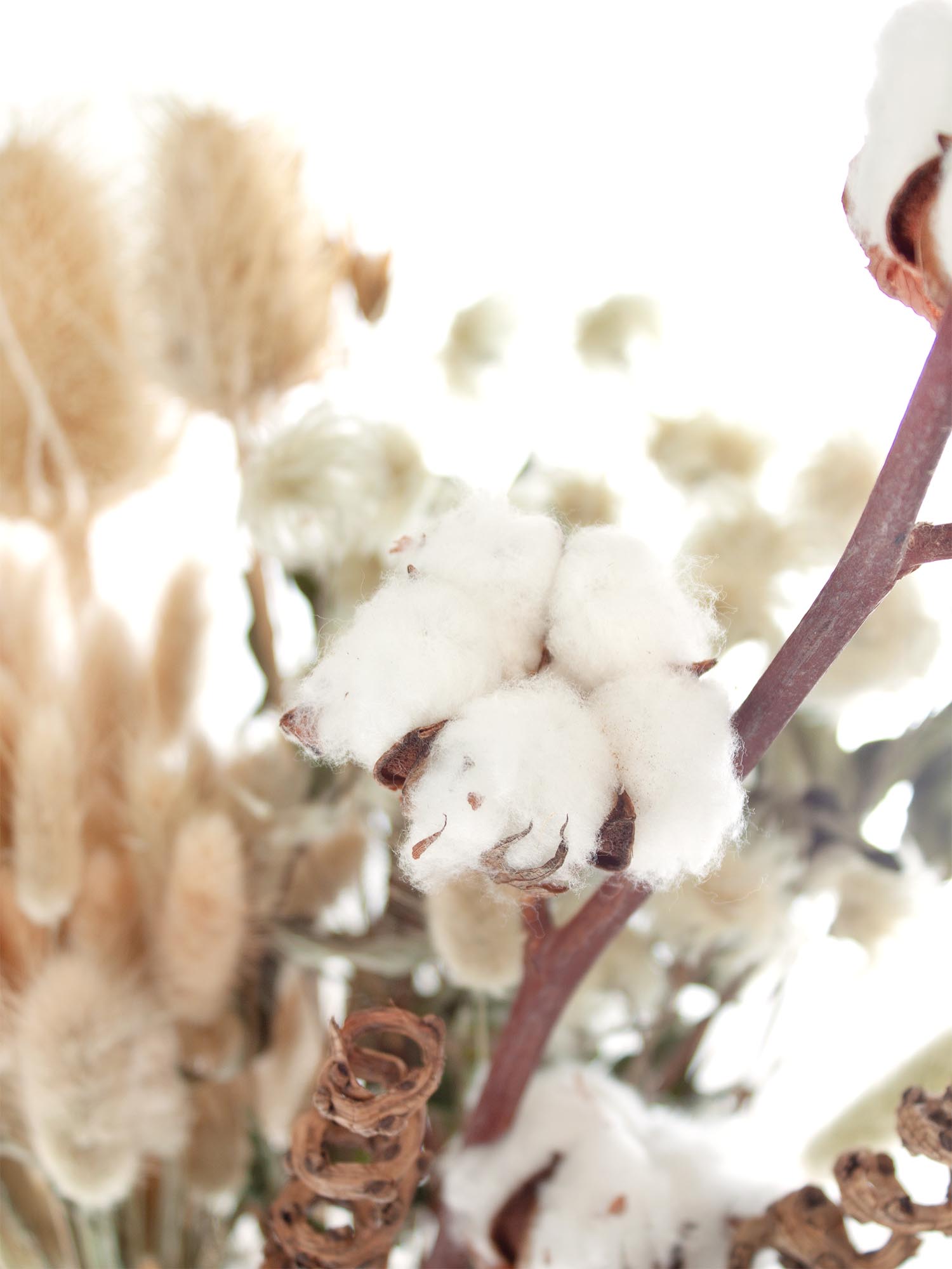 blumigo-berraschungsmixe-trockenblumen-berraschungsmix-getrocknet image 3