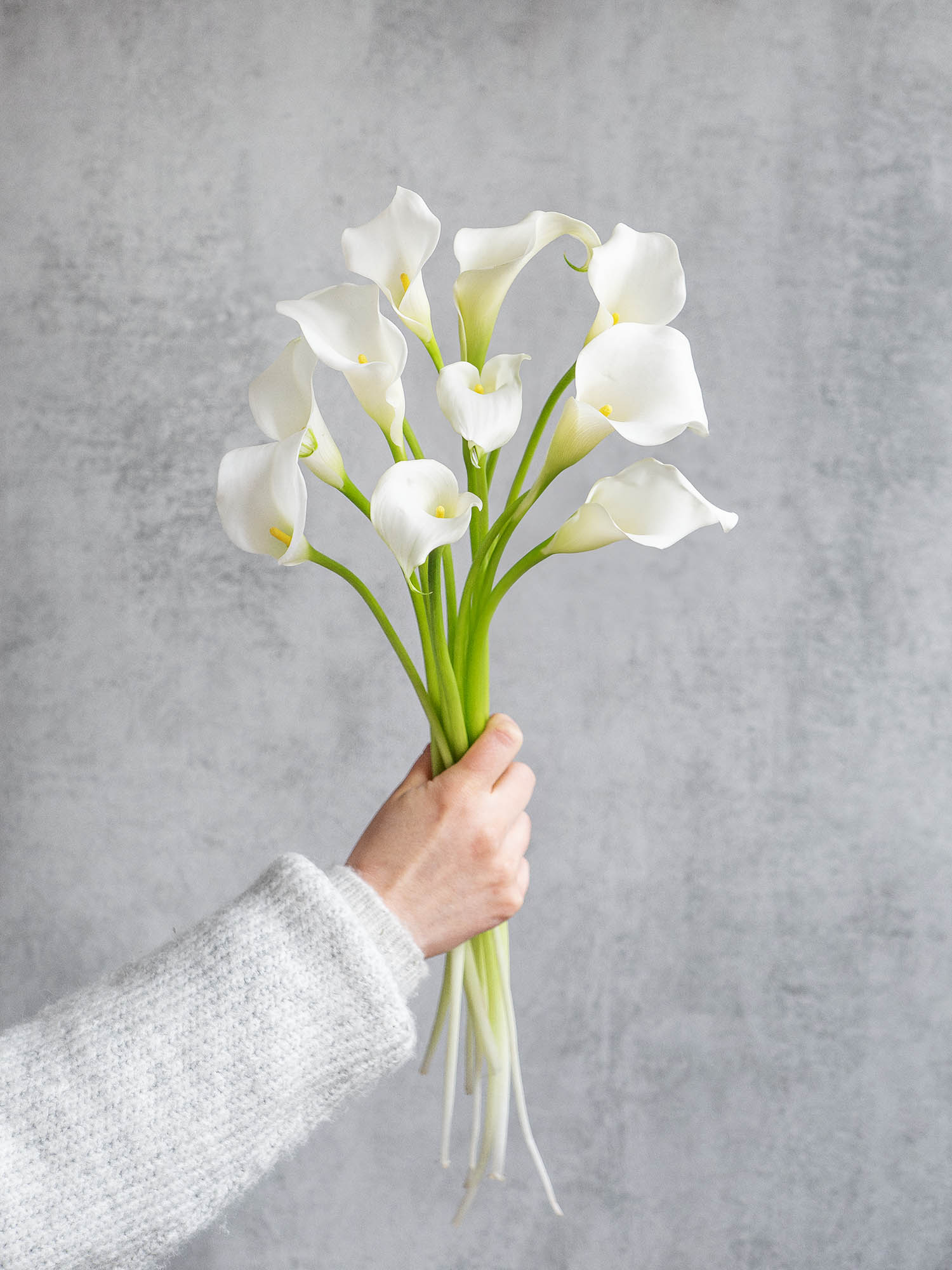 blumigo-calla-captain-ventura-schnittblume-wei image 2