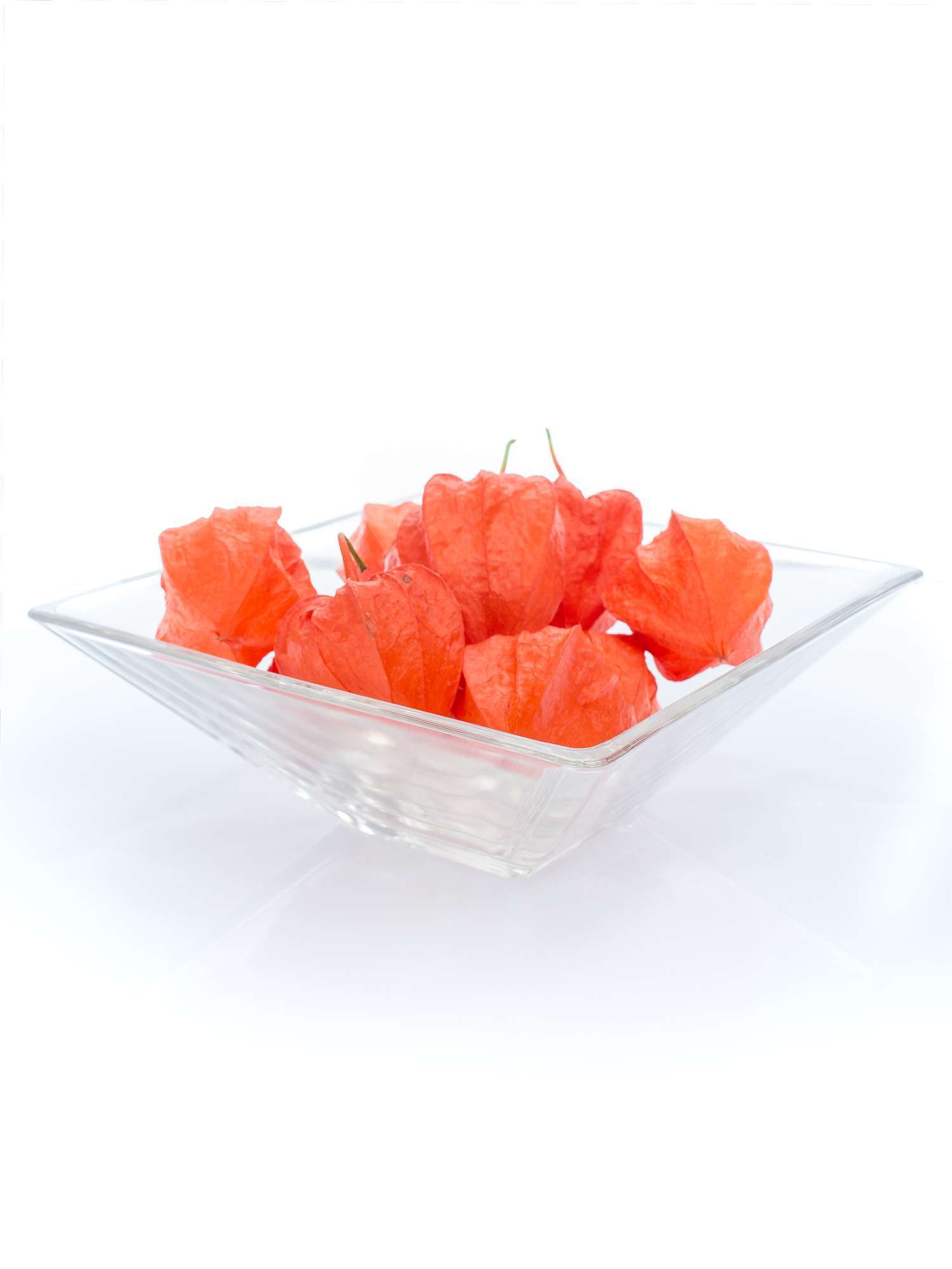 blumigo-herbstdeko-physalis-kapstachelbeere-orange-zweig image 1