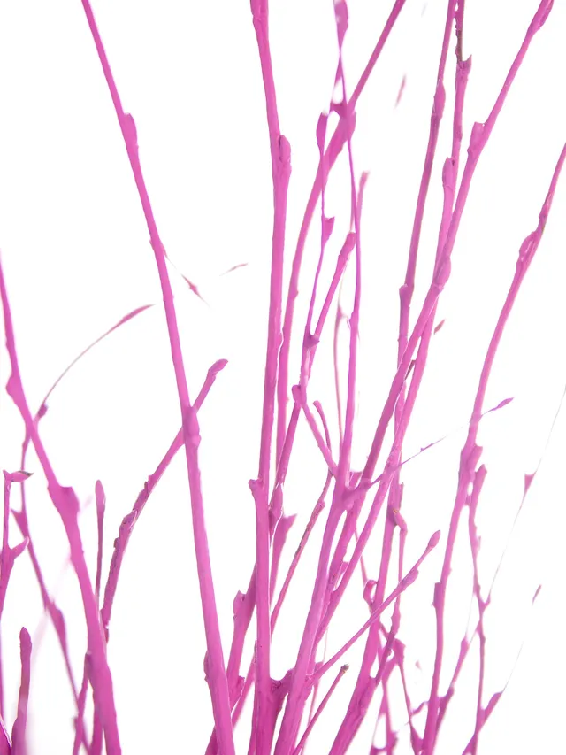 blumigo-zweige-birkenzweige-pink-gef-rbt-deko-bund image 1
