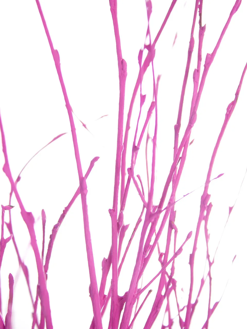 blumigo-zweige-birkenzweige-pink-gef-rbt-deko-bund image 1