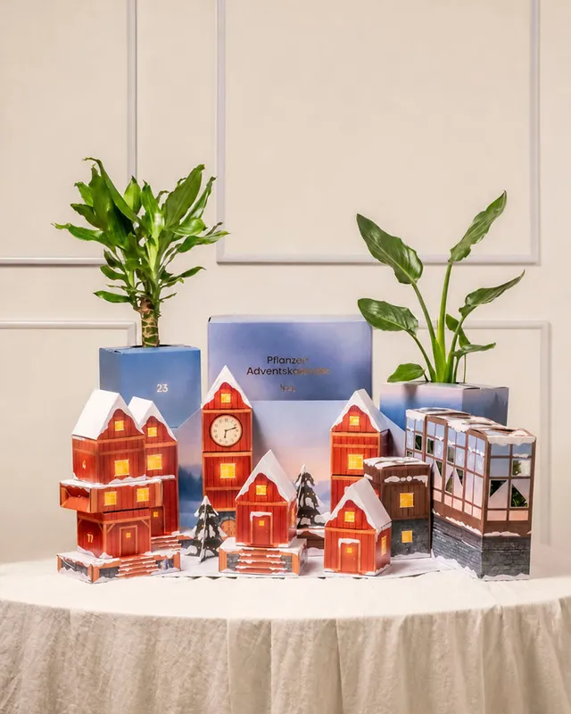 feey-variado-pflanzen-adventskalender-winterdorf-im-morgenrot-24-t-rchen image 1