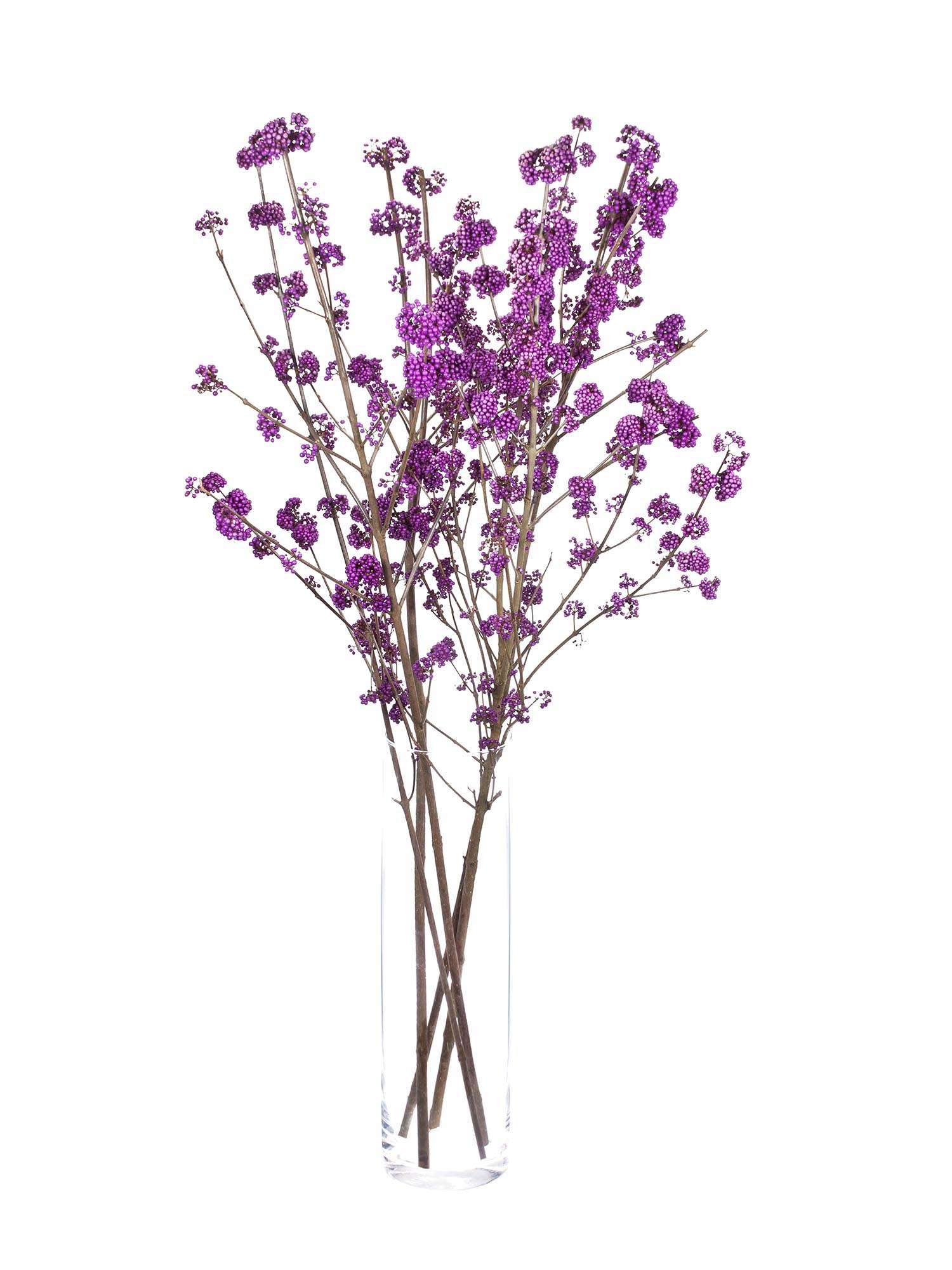 blumigo-zweige-callicarpa-liebesperlen-schnittzweig-violett image 2