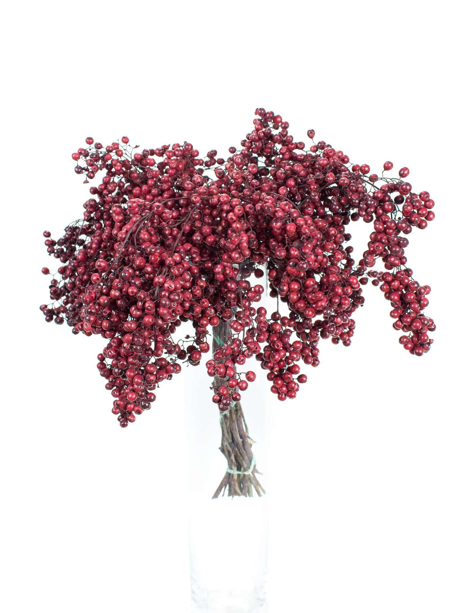 blumigo-trockenblumen-pfefferbeeren-bordeaux-violett image 2