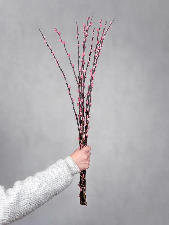 blumigo-zweige-weidenk-tzchen-gef-rbt-rosa-zweigbund image 1