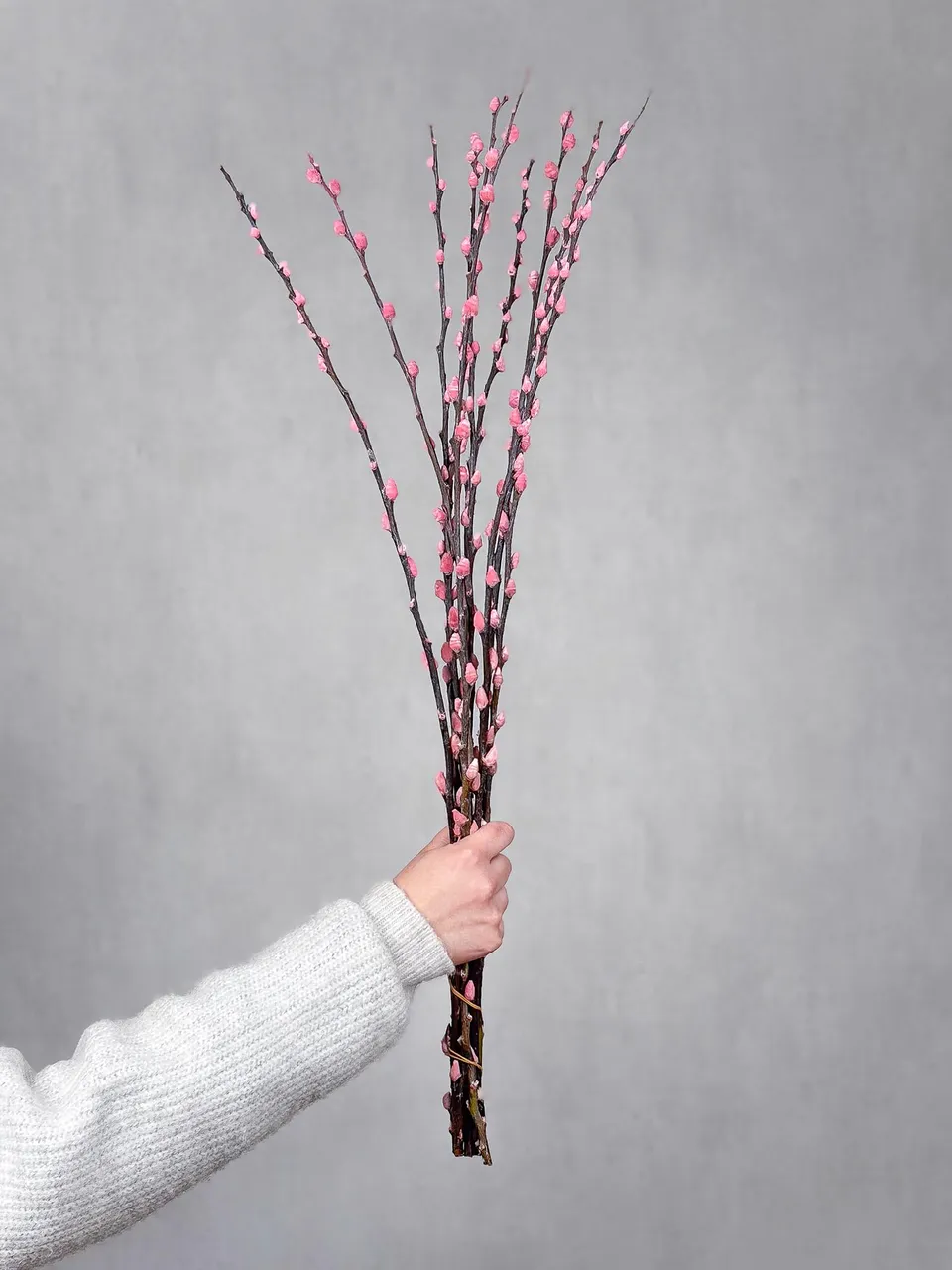 blumigo-zweige-weidenk-tzchen-gef-rbt-rosa-zweigbund image 1
