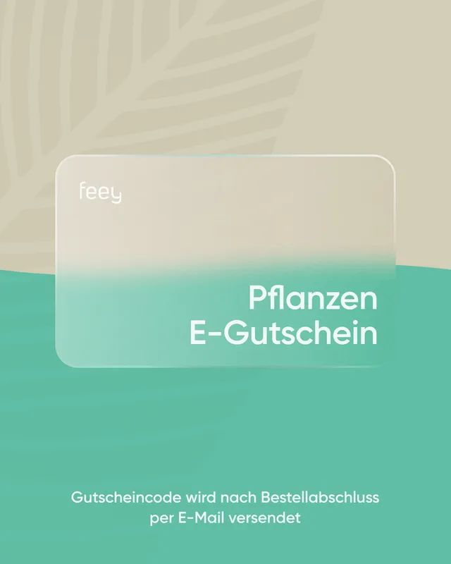 feey-lumi-e-gutschein-20-euro-geschenkgutschein-per-mail image 1