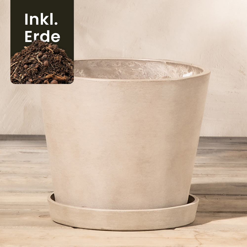 feey-amsterdam-pflanzk-bel-20-cm-taupe-mit-drainage image 5