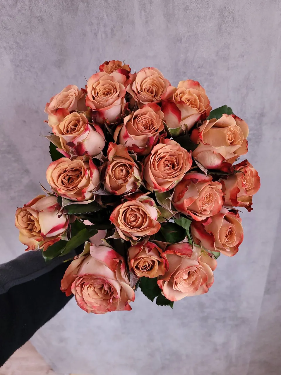blumigo-rosen-cappuccino-schnittrose-creme-braun image 1