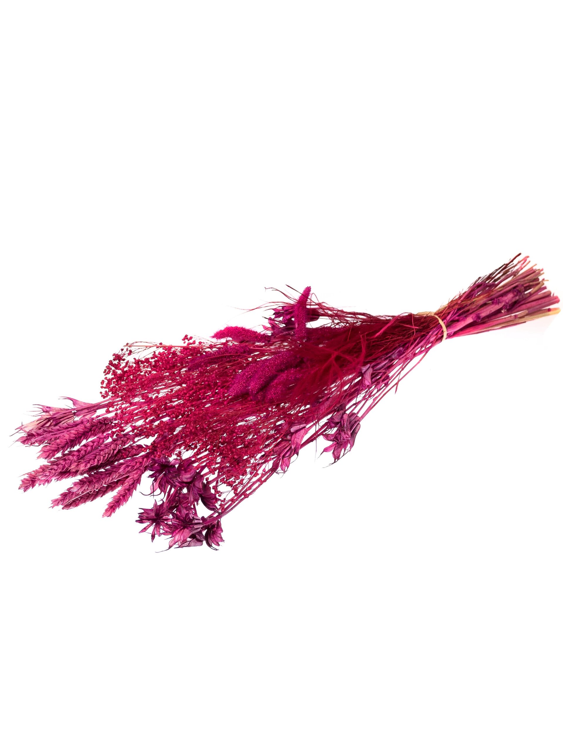 blumigo-pink-passion-mix-trockenblumen-pink image 3