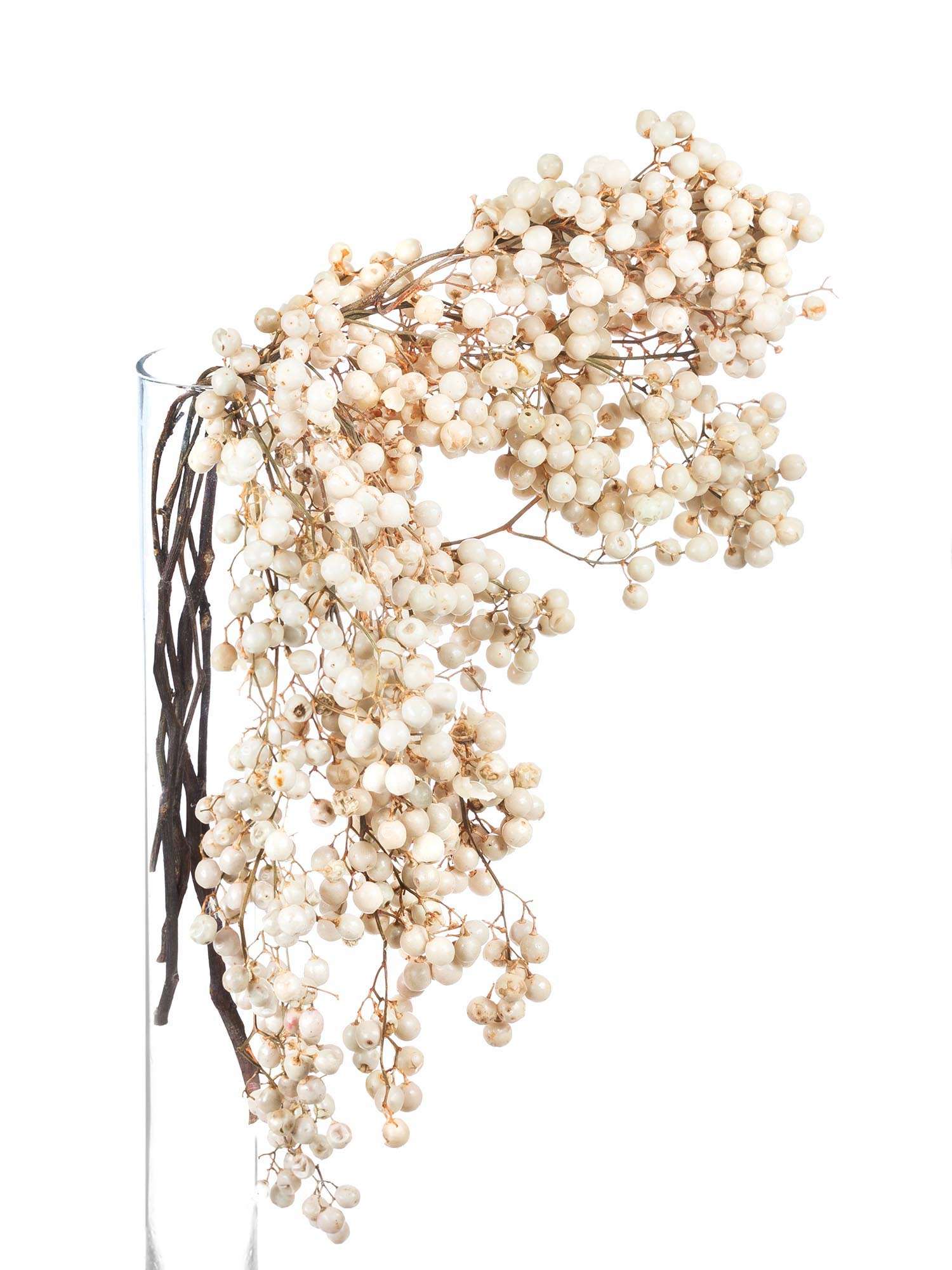 blumigo-pfefferbeeren-trockenblumen-wei-creme-gebleicht image 2