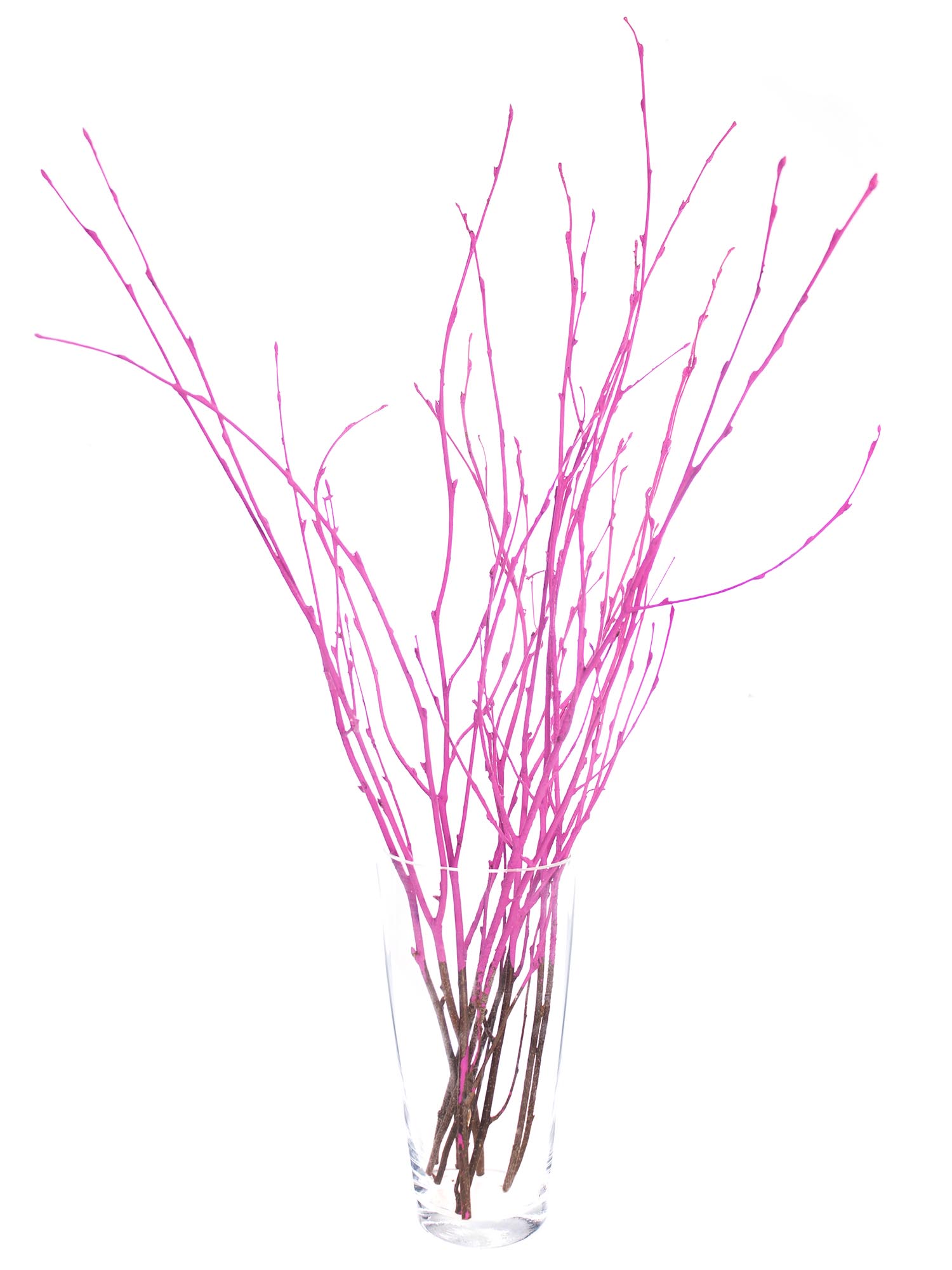 blumigo-zweige-birkenzweige-pink-gef-rbt-deko-bund image 2