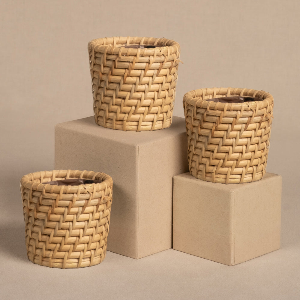 feey-variado-calen-rattan-korb-f-r-babypflanzen-3-stk-natur image 3