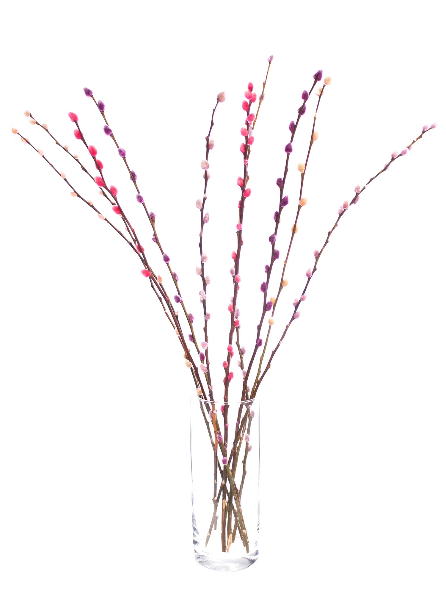 blumigo-weidenk-tzchen-zweige-bunt-eingef-rbt-deko image 4