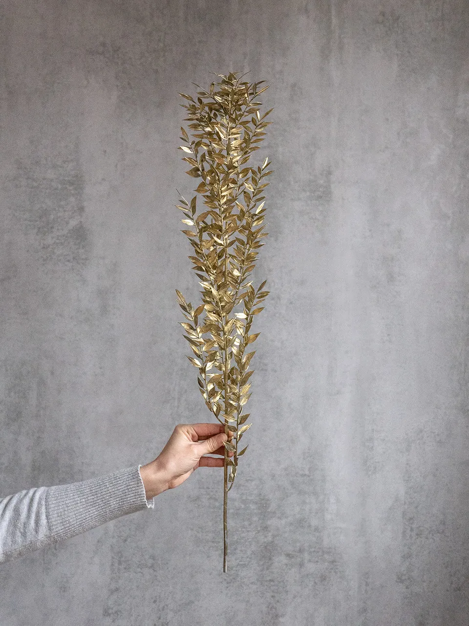 blumigo-ruscus-trockenblumen-getrocknet-gef-rbt-gold image 1