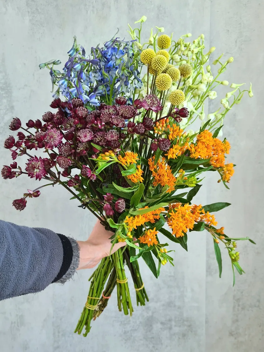 blumigo-fr-hsommer-mix-berraschungsstrau-saisonal image 1