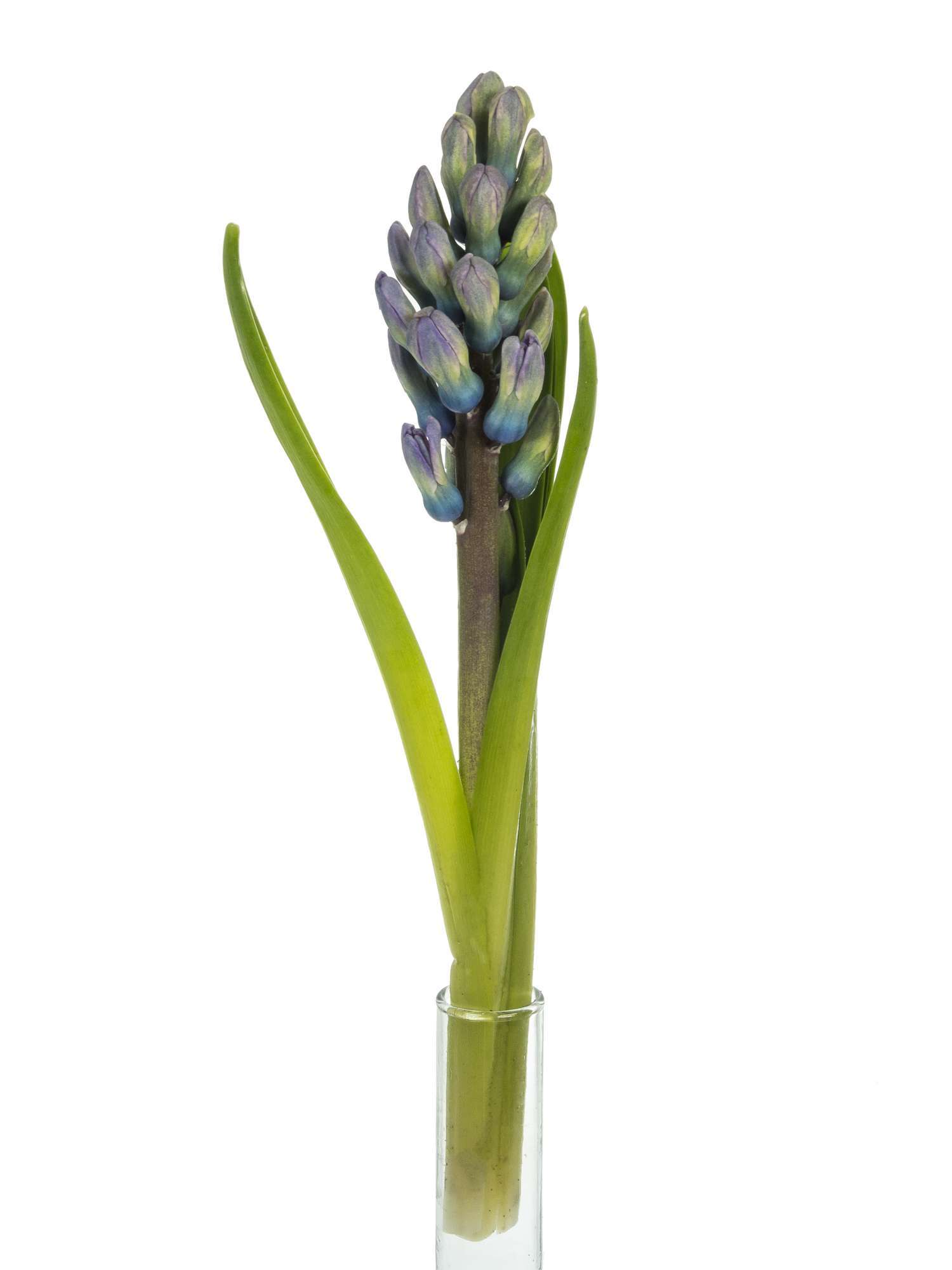 blumigo-fr-hlingsknollen-hyazinthen-bunte-mischung-blumenzwiebel image 5