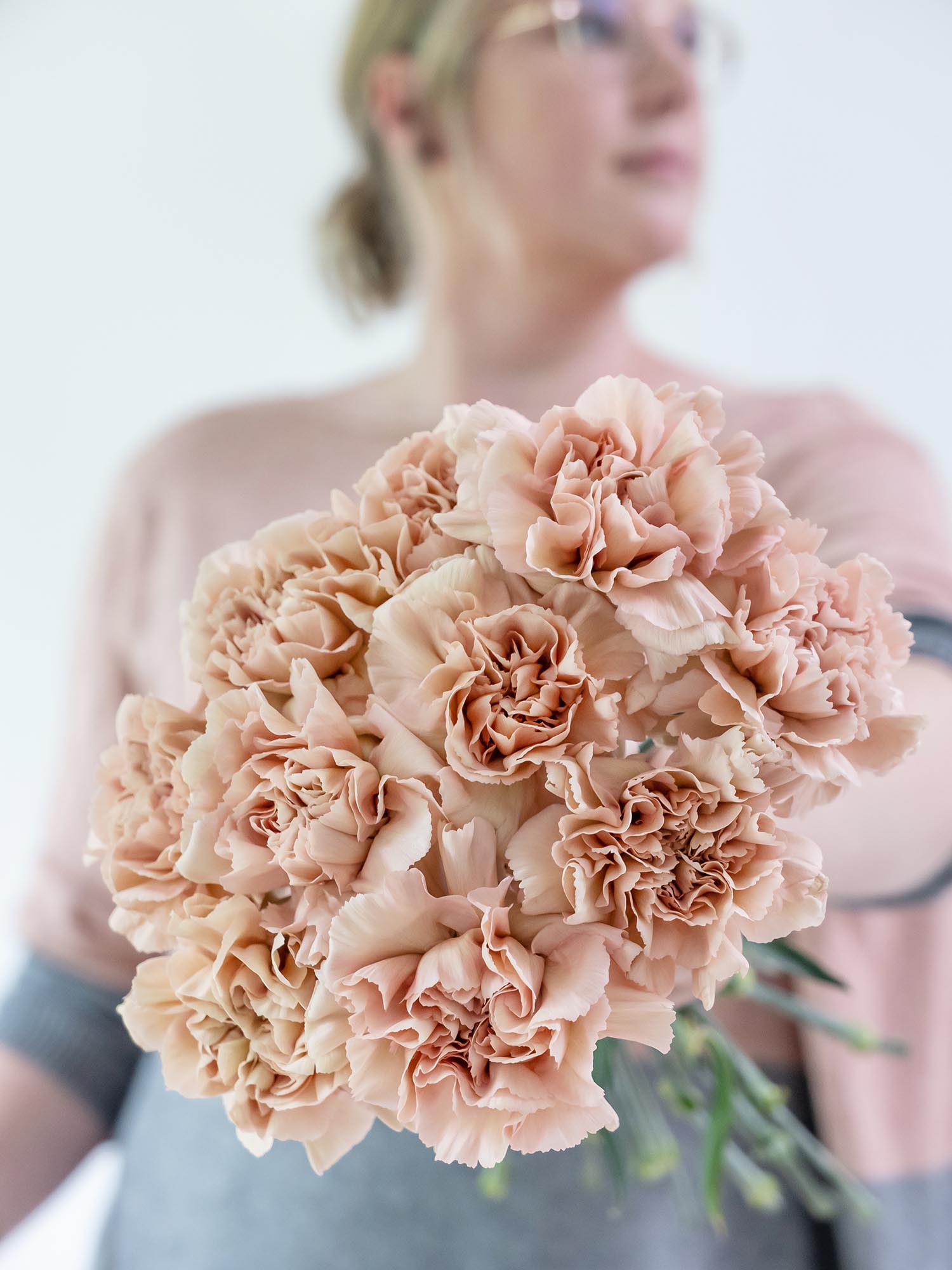 blumigo-nelken-edelnelken-caramel-schnittblume-creme-beige image 6