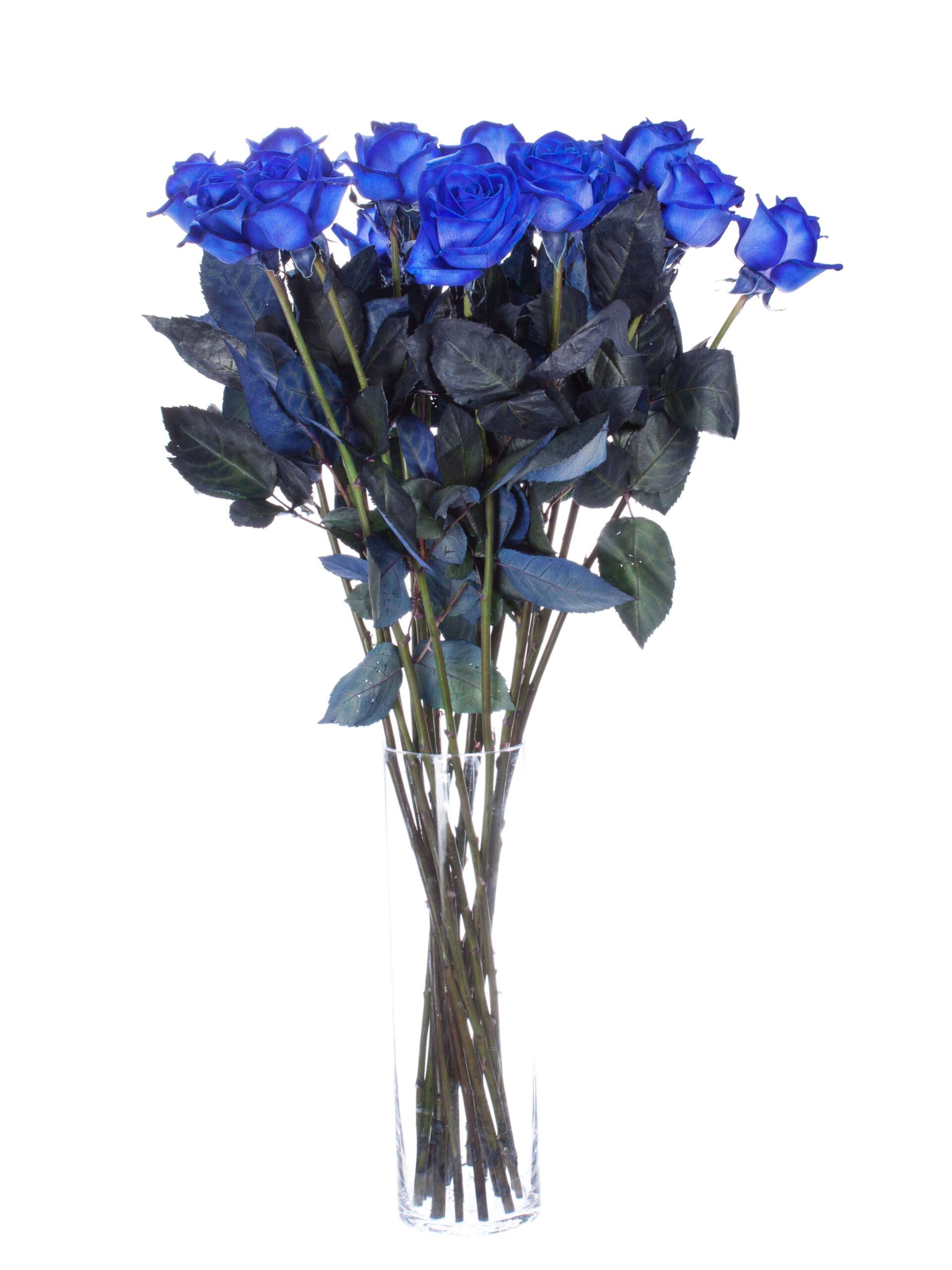 blumigo-rosen-vendela-blau-gef-rbte-rosen-blau image 2