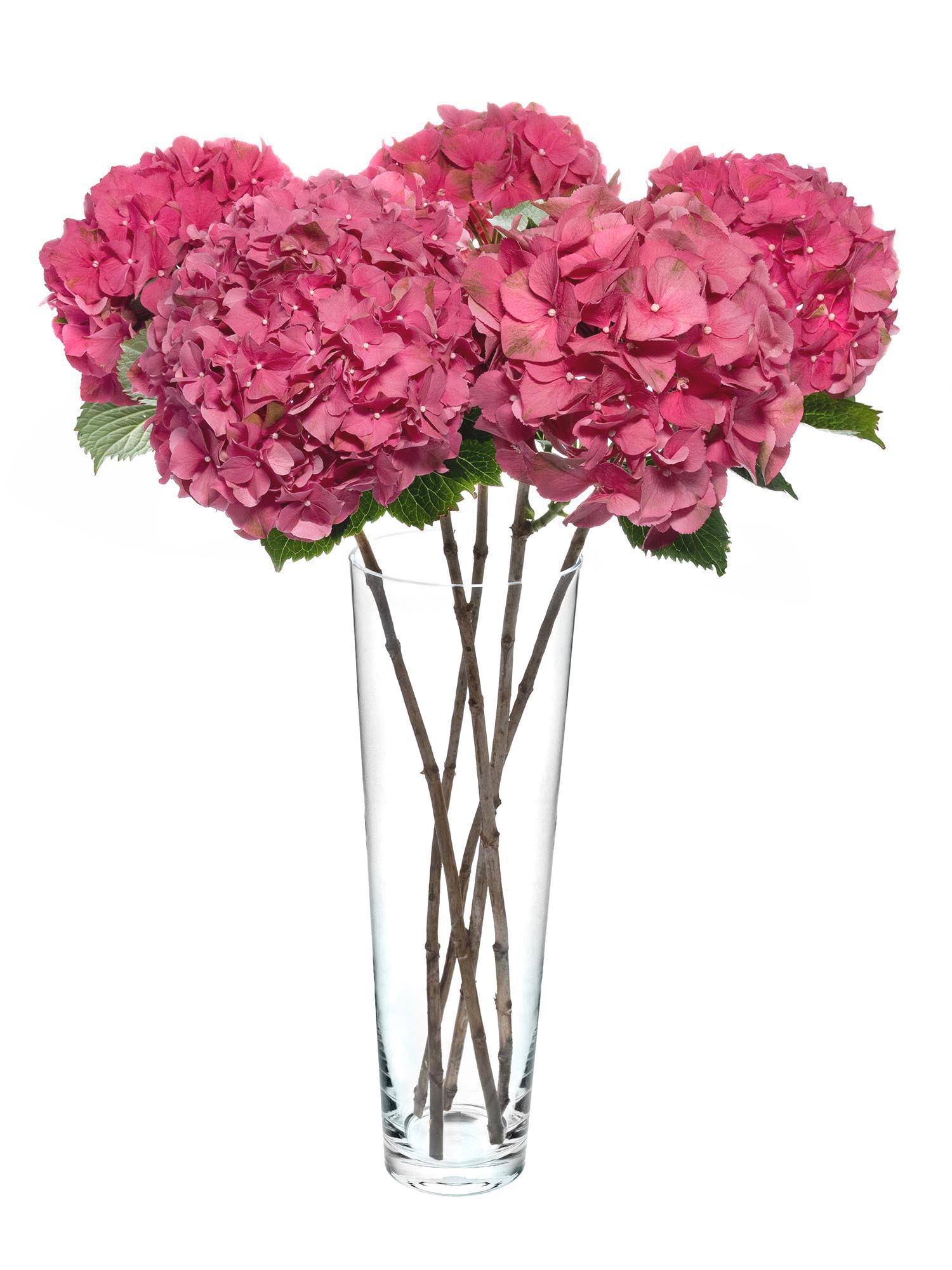 blumigo-anja-glasvase-konisch-50-cm-transparent-gro image 2