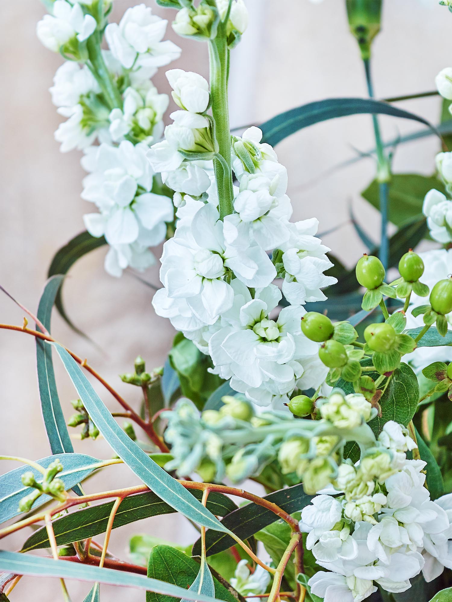 blumigo-berraschungsmixe-urban-jungle-bouquet-strauss image 3