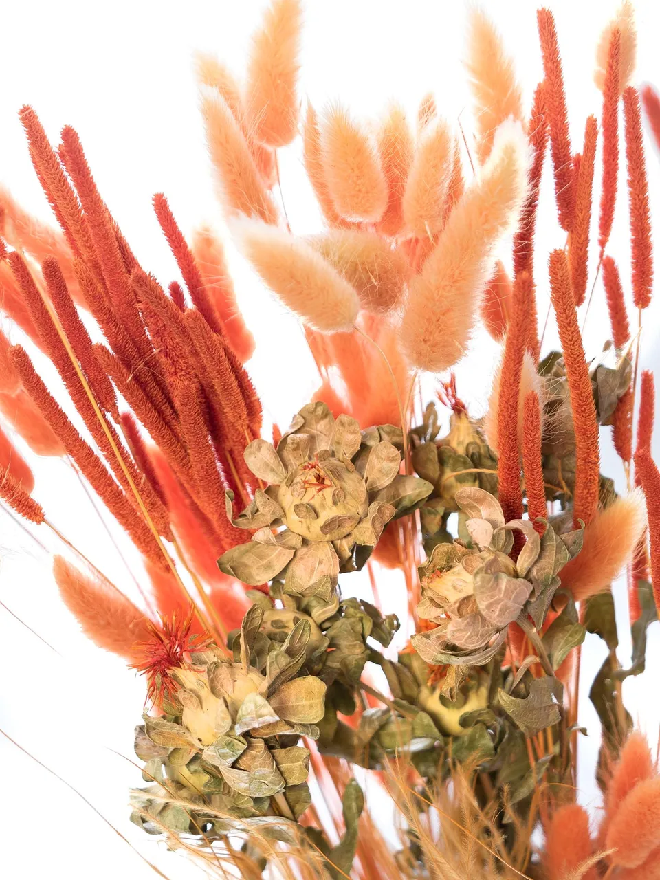 blumigo-trockenblumen-color-candy-mix-orange-trockenstrauss image 1