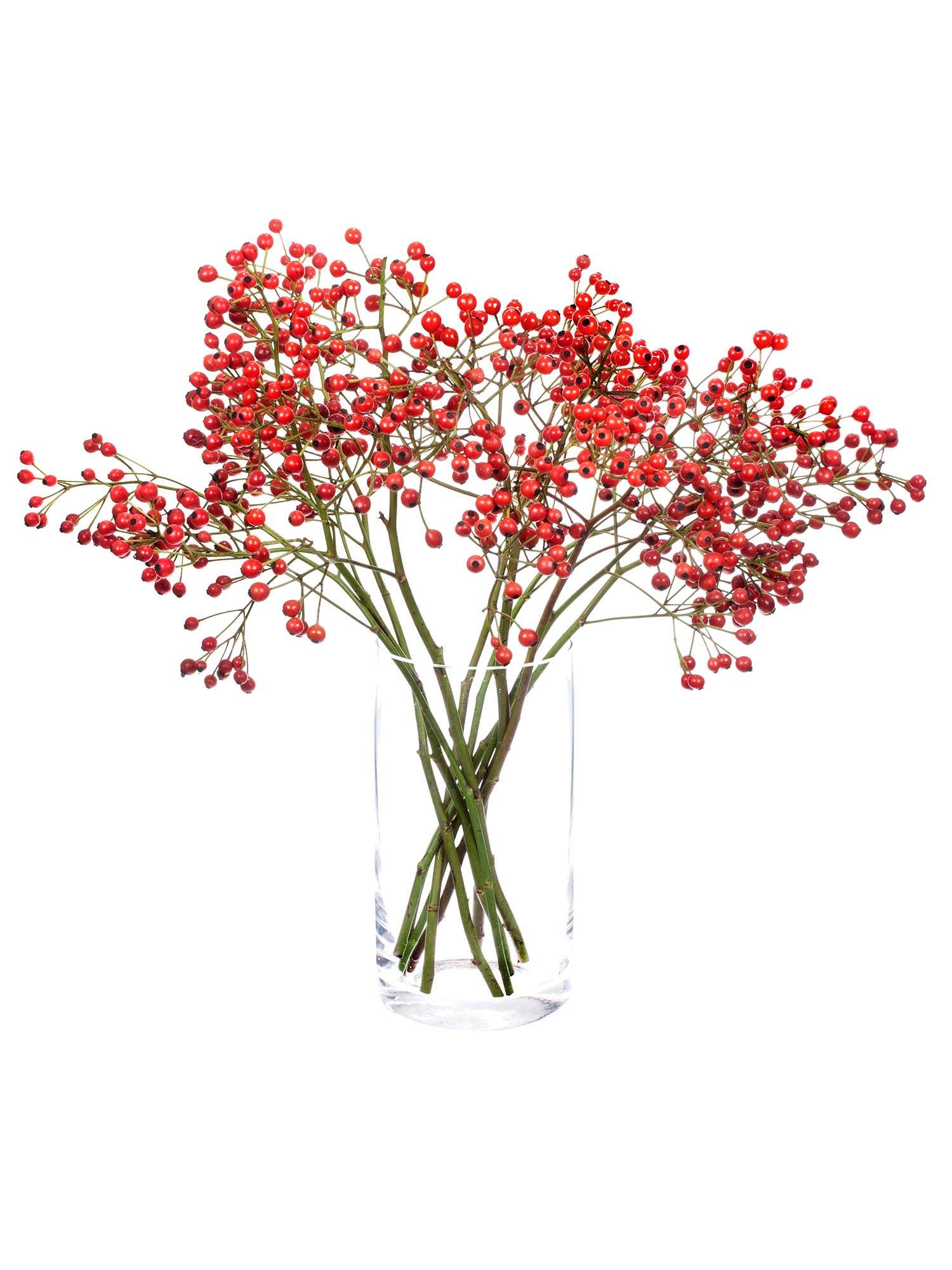 blumigo-herbstdeko-plenty-hagebutte-gr-n-orange image 5