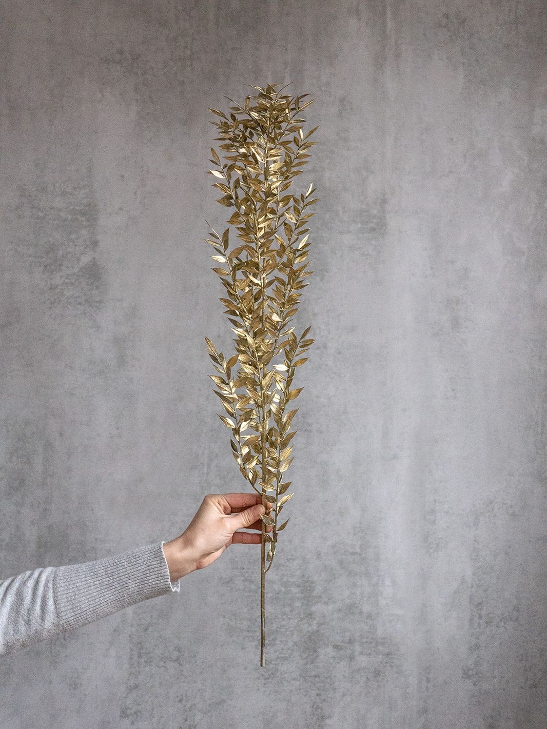 blumigo-ruscus-trockenblumen-getrocknet-gef-rbt-gold image 1