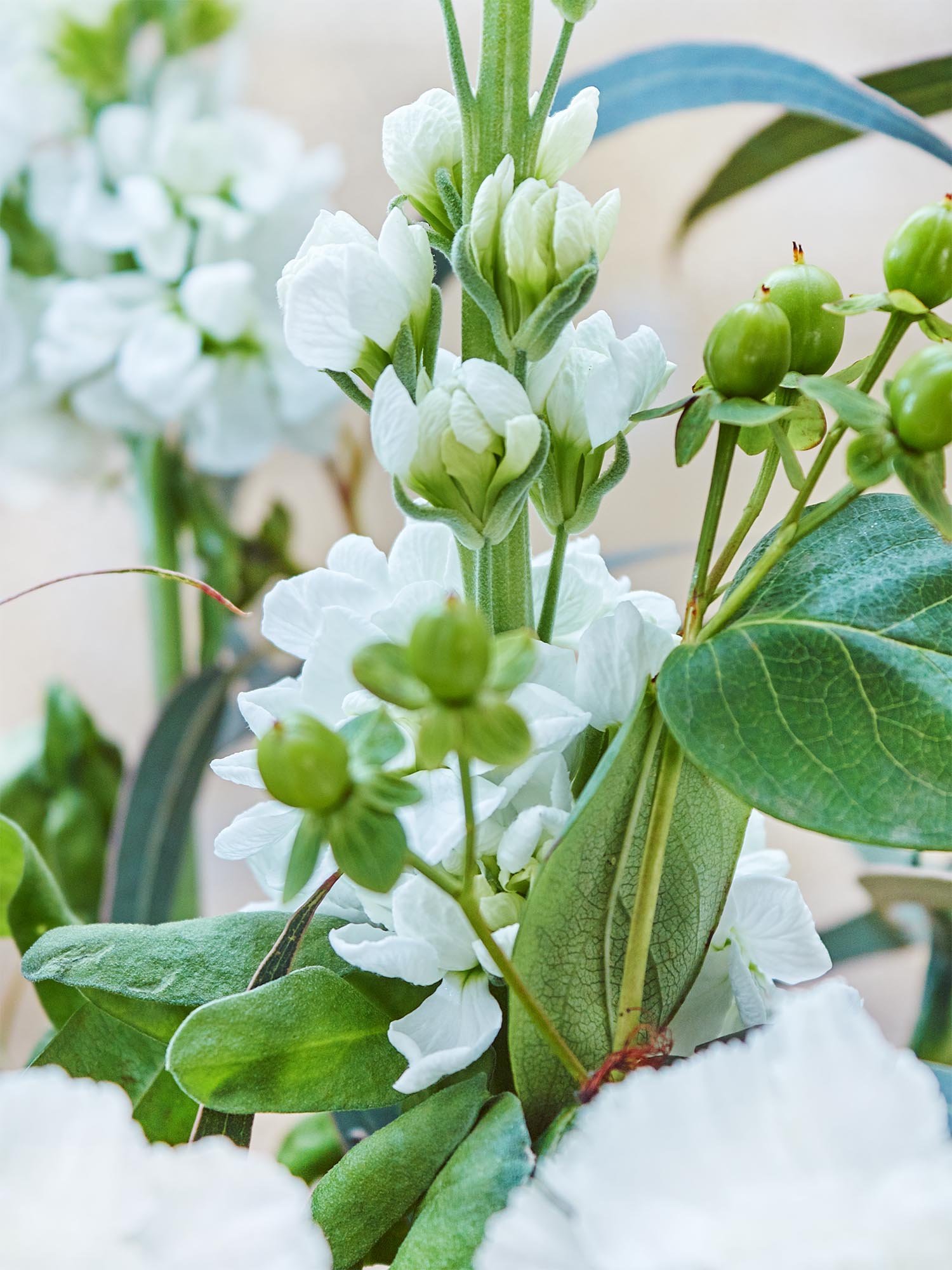 blumigo-berraschungsmixe-urban-jungle-bouquet-strauss image 4