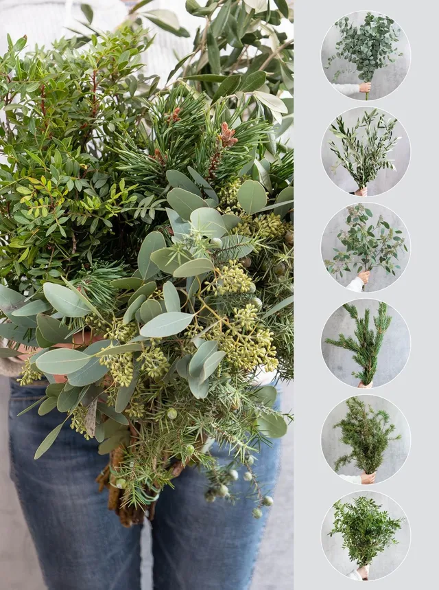 blumigo-blattwerk-winter-mix-gemischtes-gr-n-6-bund image 1