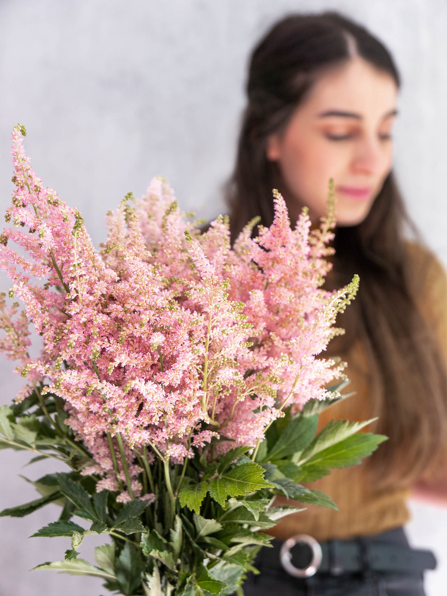 blumigo-blattwerk-astilbe-europa-schnittblume-rosa image 2