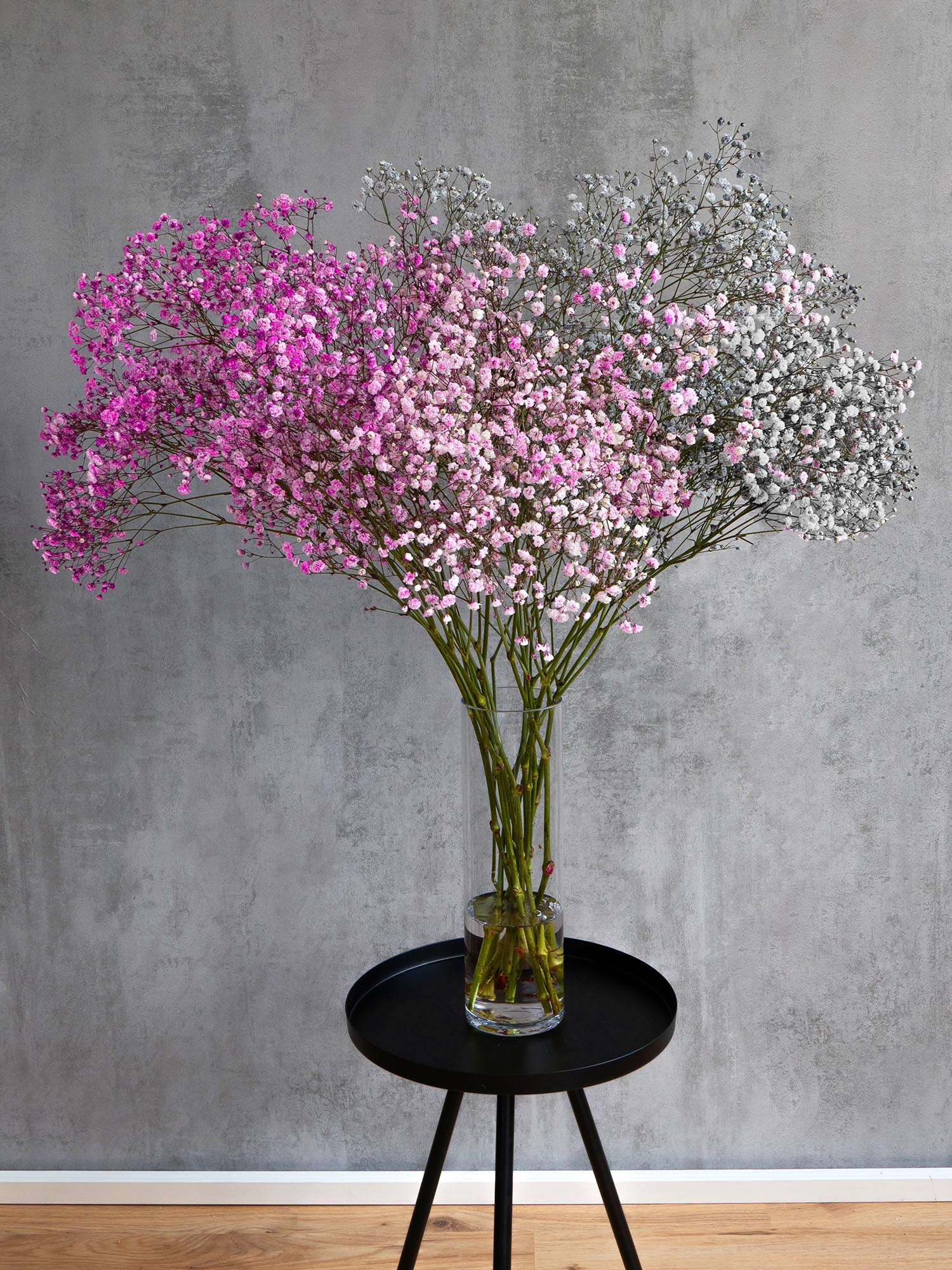 blumigo-schleierkraut-schnittblumen-rosa-painted image 4