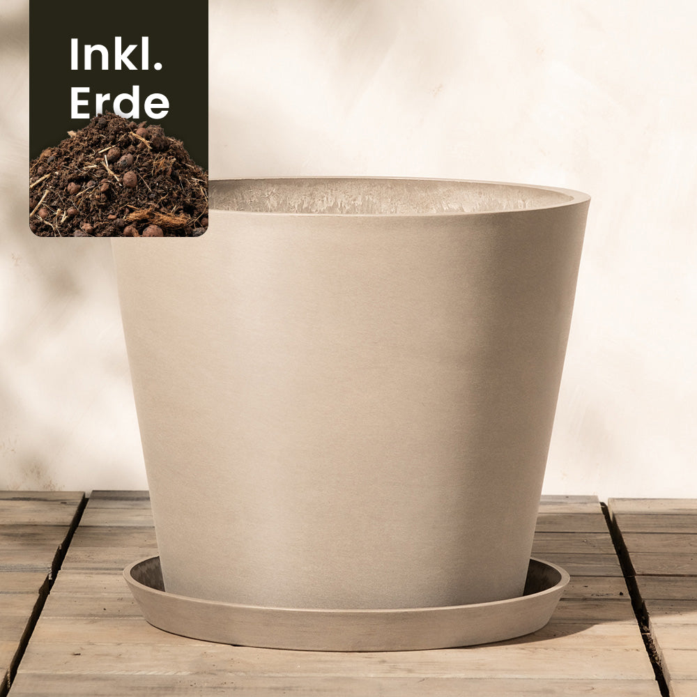 feey-amsterdam-kunststoff-pflanzk-bel-40-cm-taupe-28-l image 8