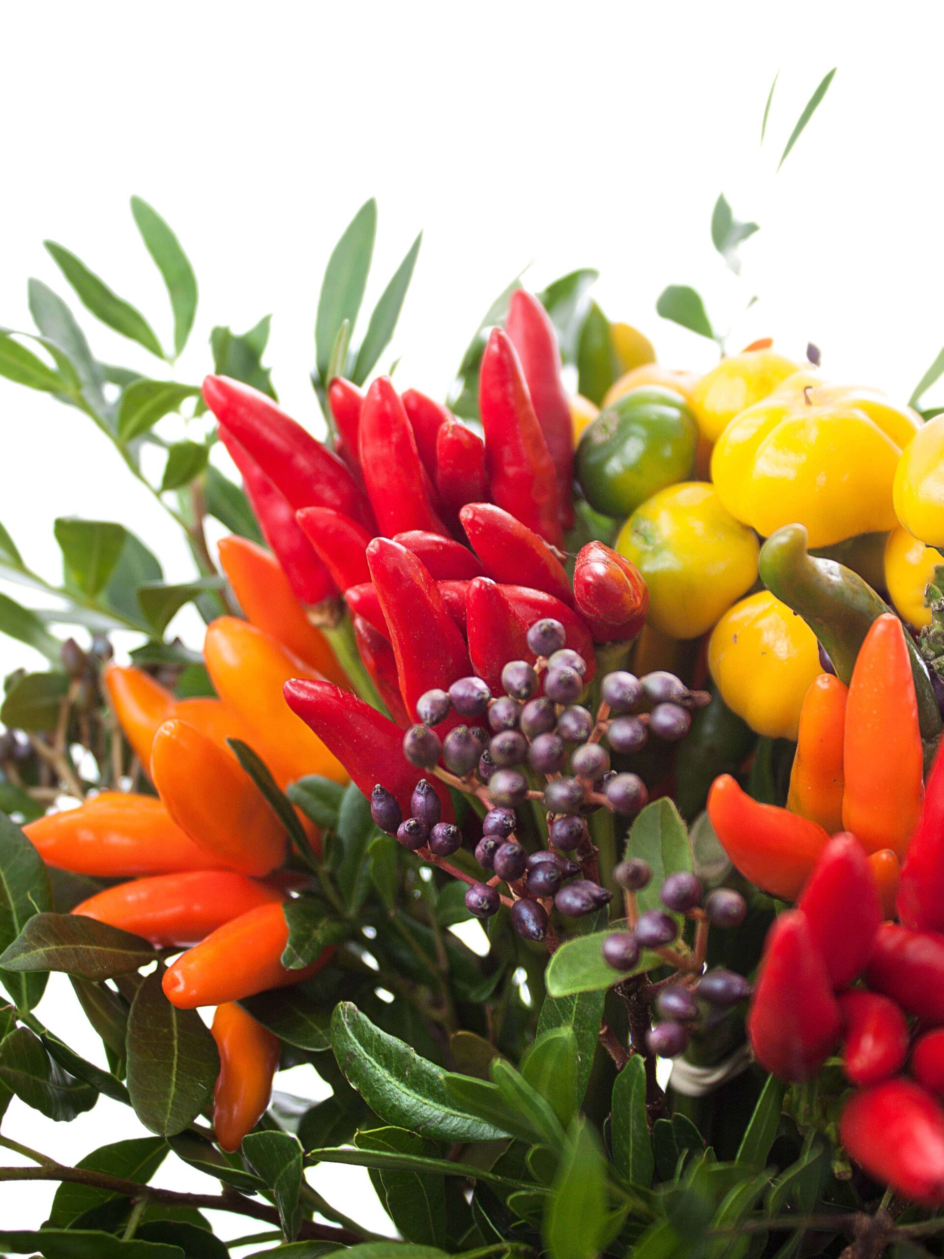 blumigo-herbstdeko-zierpaprika-bouquet-strau-verschiedene-farben image 3