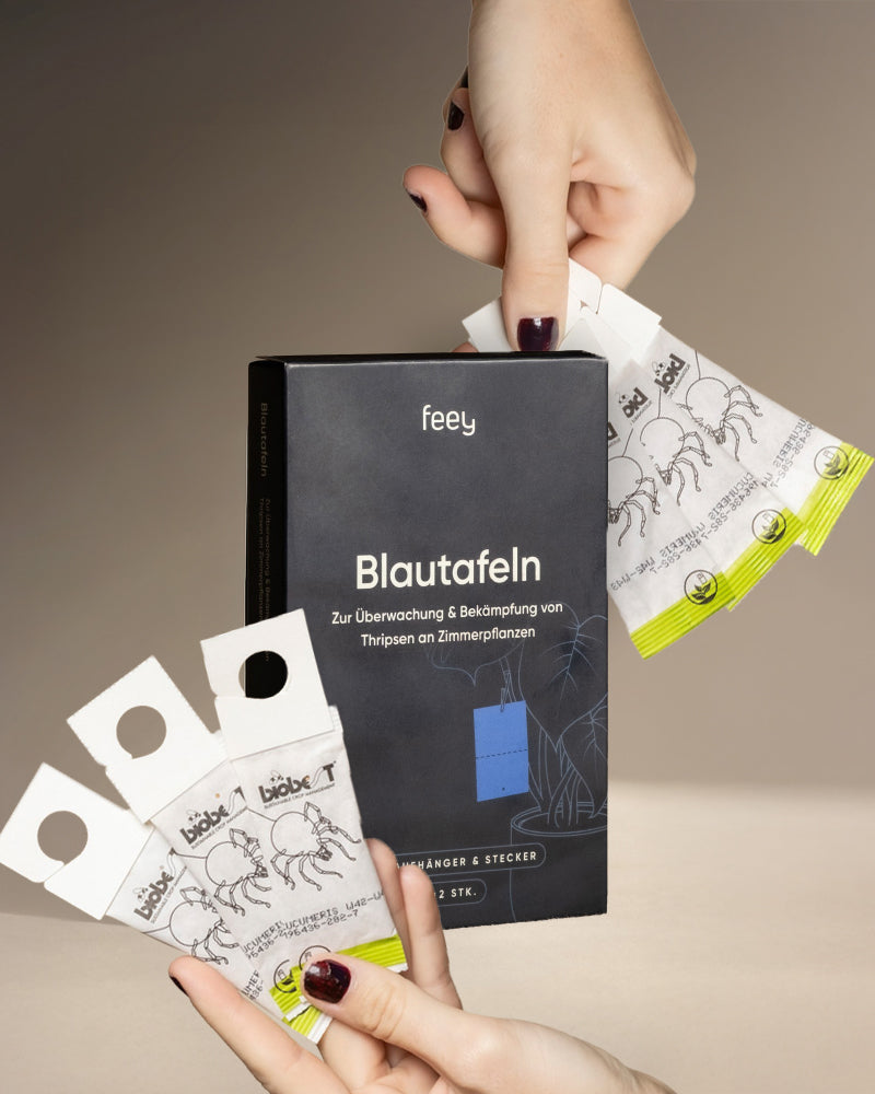 feey-lumi-bek-mpfungsset-gegen-thripse-raubmilben-6-beutel image 3