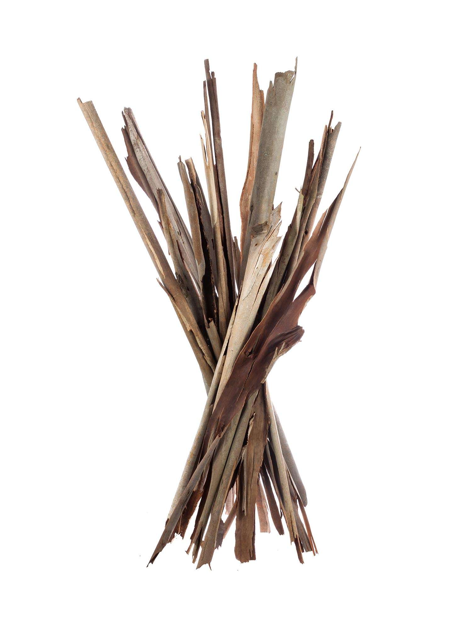 blumigo-eukalyptus-eukalyptusrinde-deko-rinde-natur-braun image 2