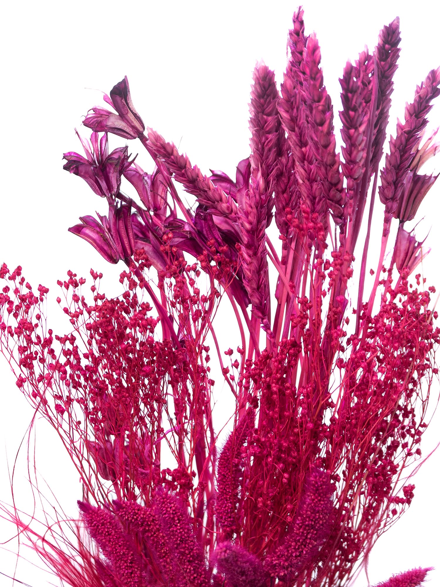 blumigo-pink-passion-mix-trockenblumen-pink image 5