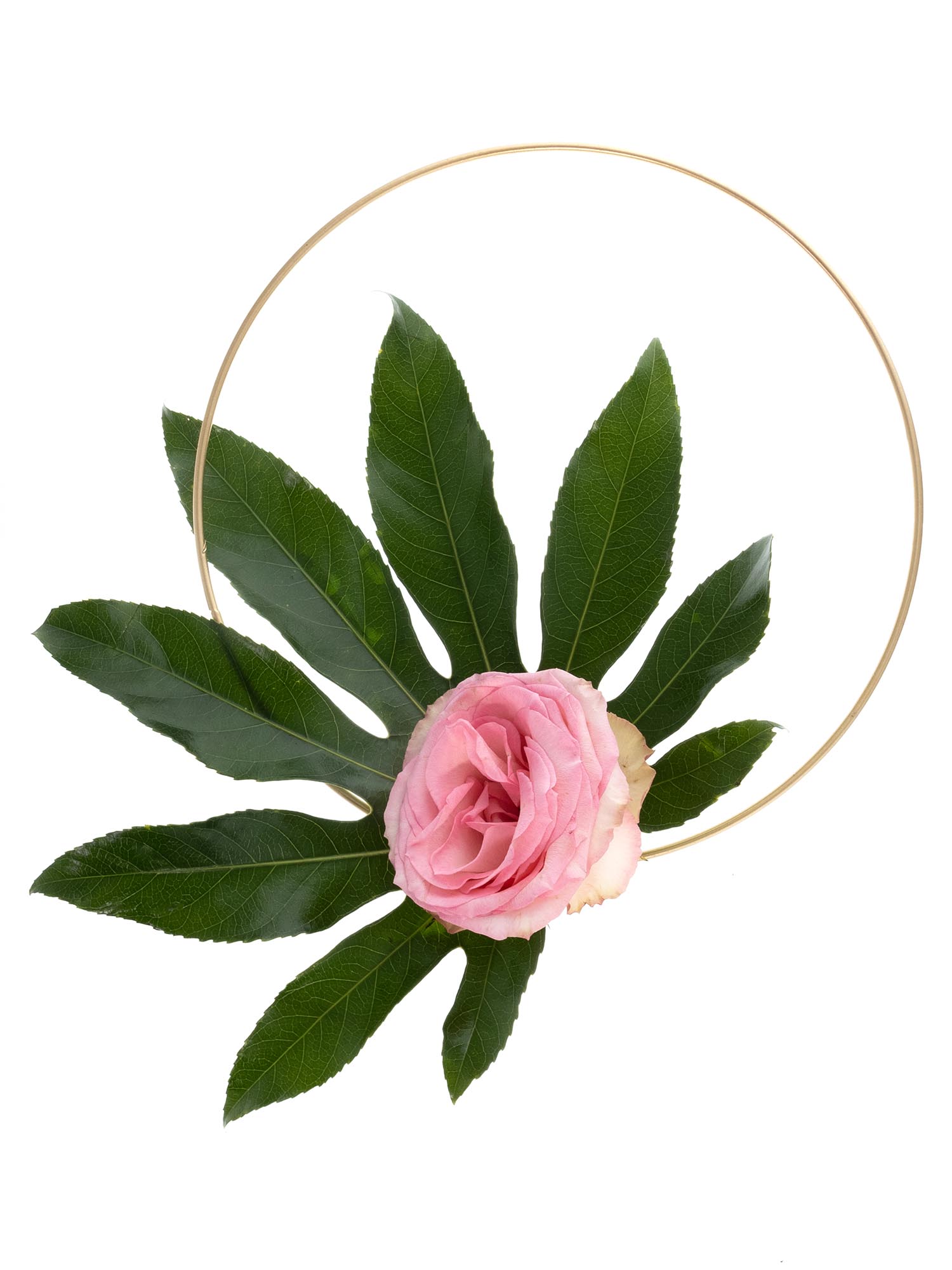 blumigo-hilfsmittel-blumen-spezialkleber-f-r-floristik image 3