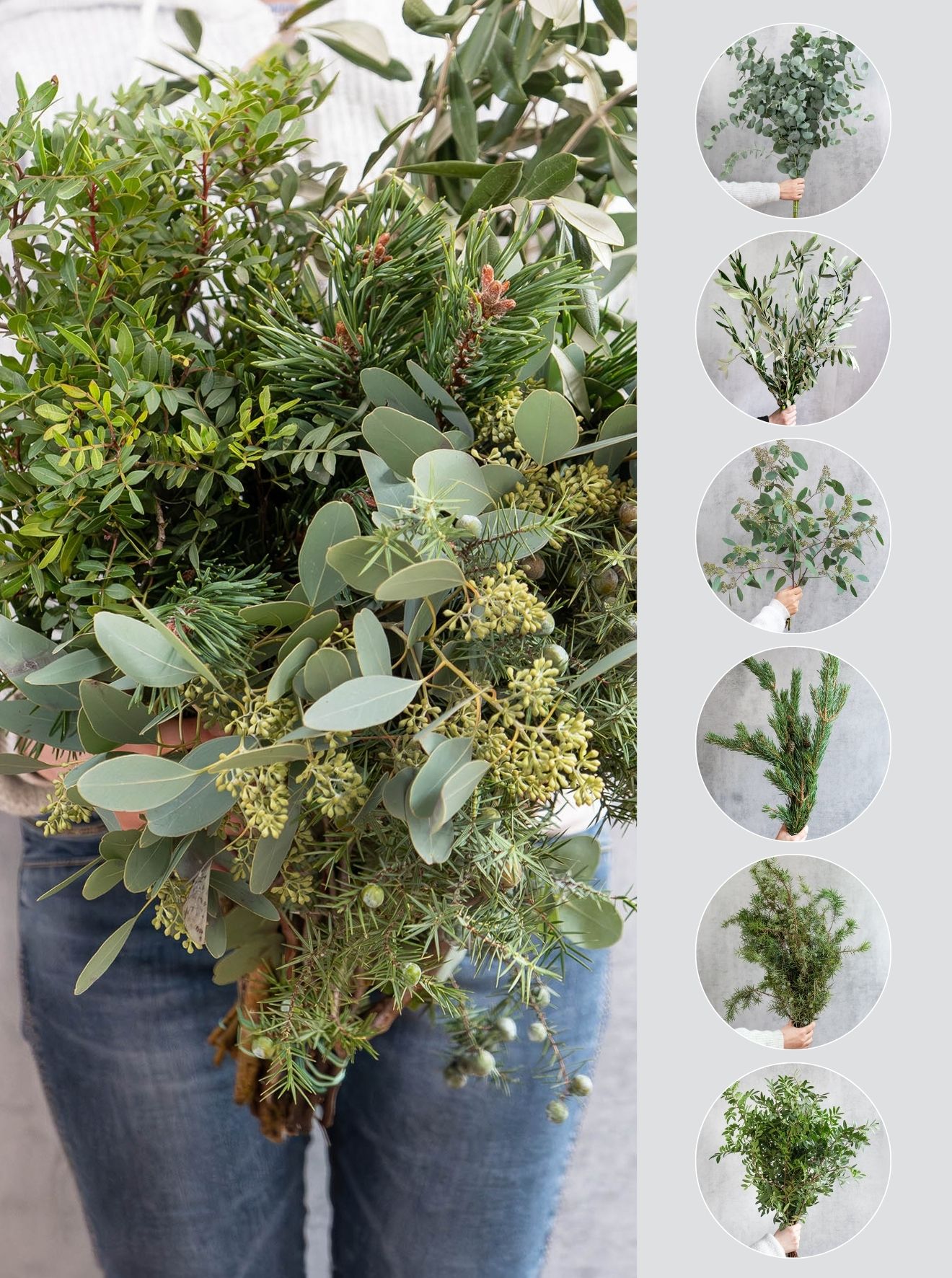 blumigo-blattwerk-winter-mix-gemischtes-gr-n-6-bund image 1