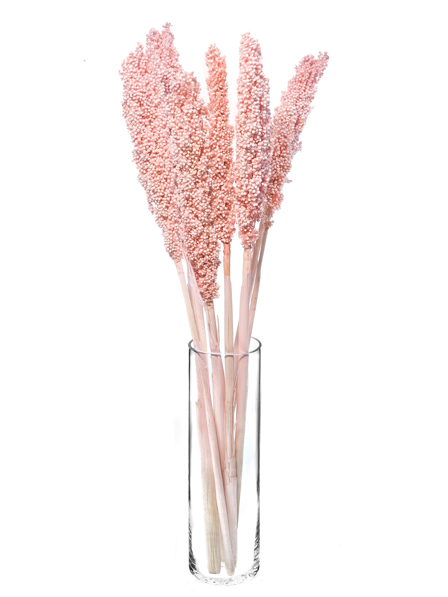 blumigo-trockenblumen-sorghumhirse-trockengras-rosa image 2