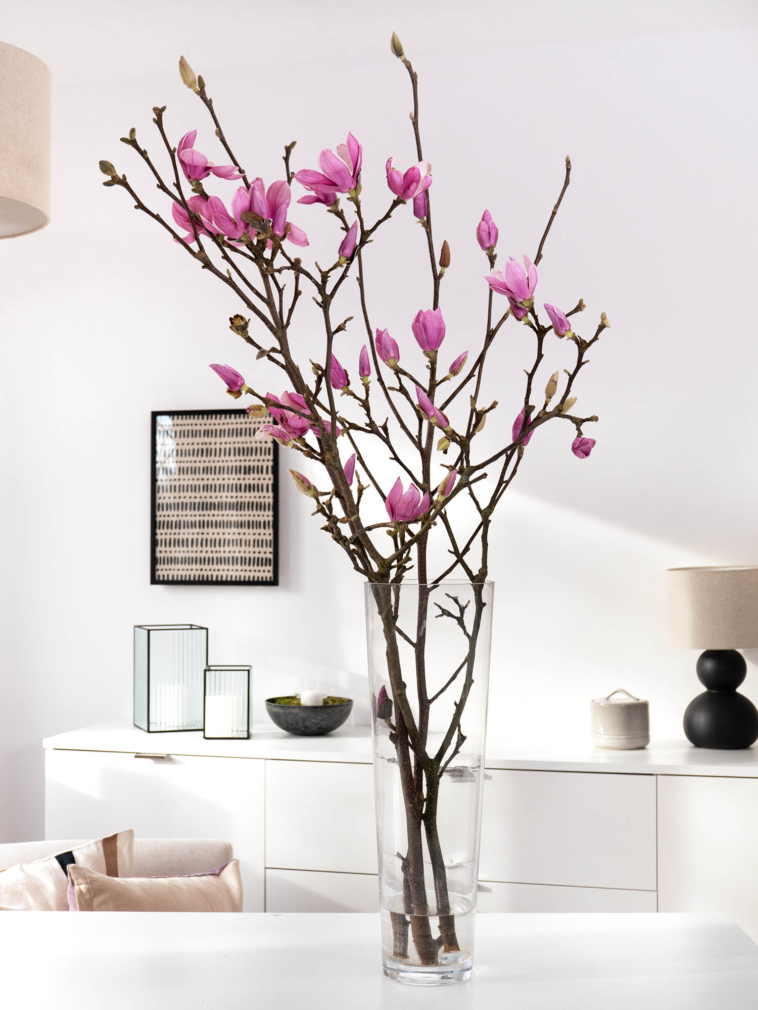 blumigo-zweige-magnolienzweige-rosa-wei-bl-hzweige image 5