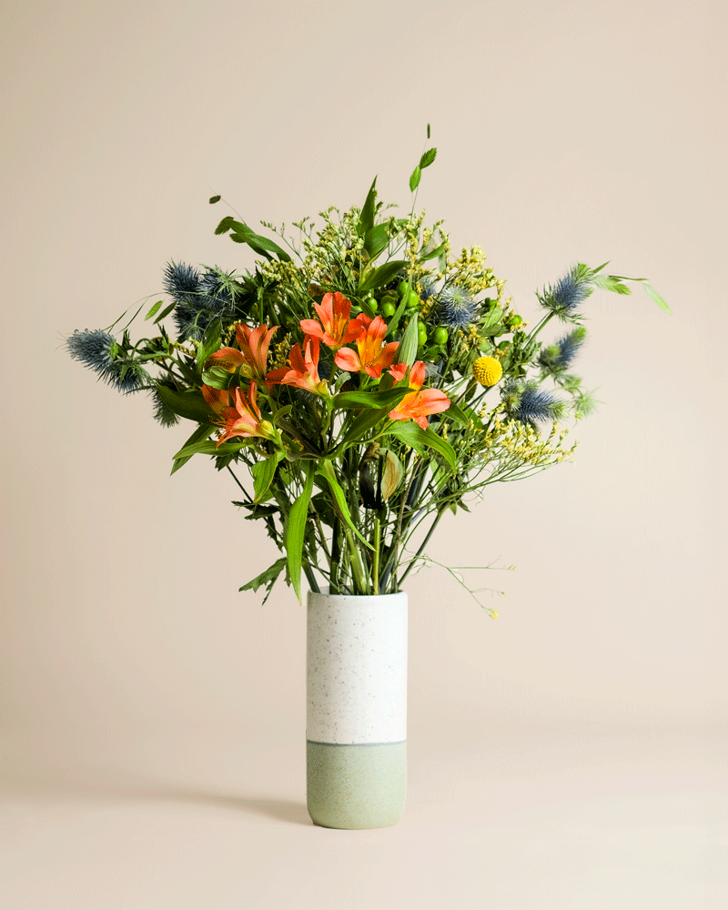 feey-rilio-erfolgsgeheimnis-blumenstrauss-gelb-craspedia image 4