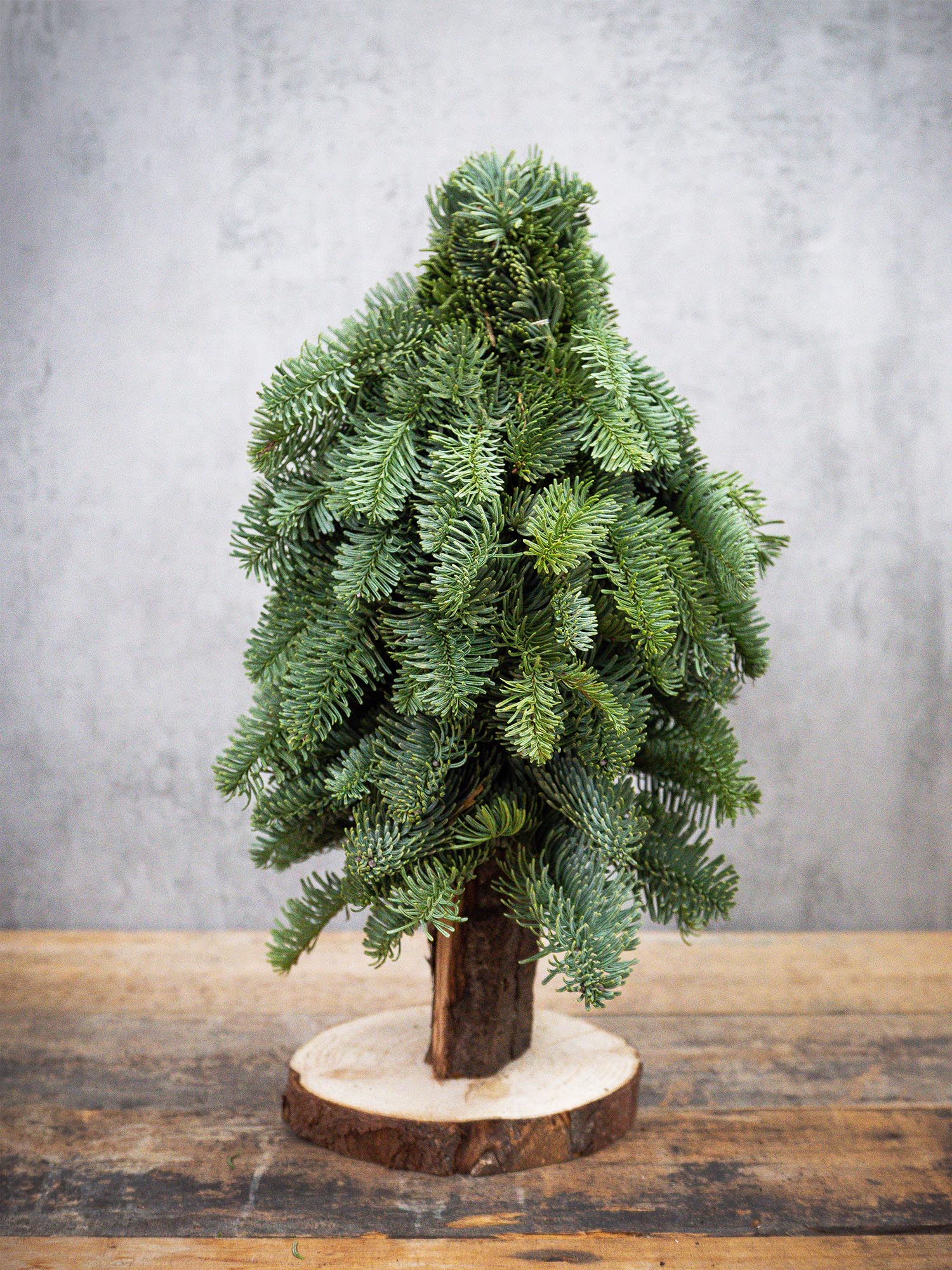 blumigo-tannengr-n-gesteckte-tannenb-ume-mini-weihnachtsbaum image 8
