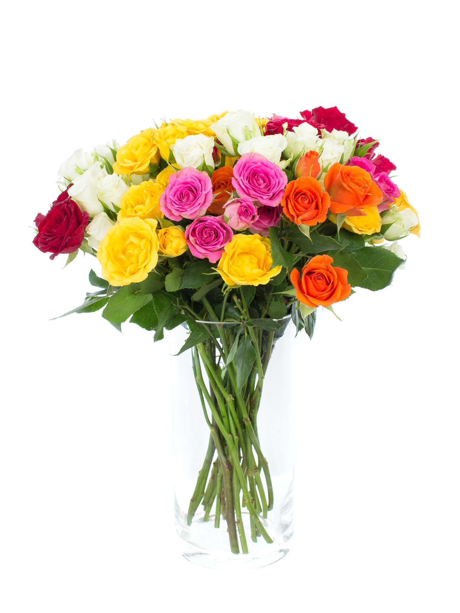 blumigo-rosen-bunte-mischung-sprayrosen-verzweigt-rosa image 2